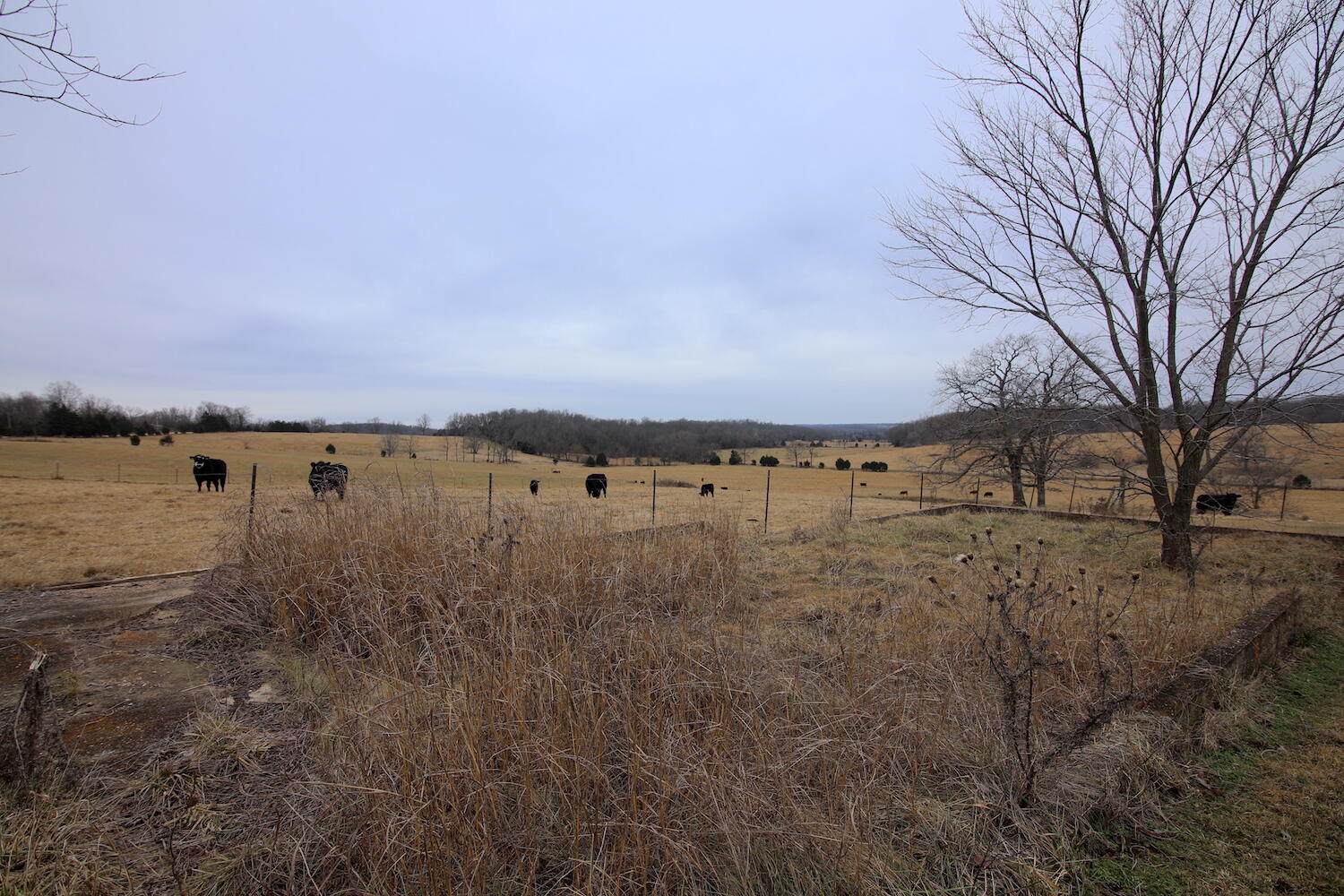 N/A - Farm