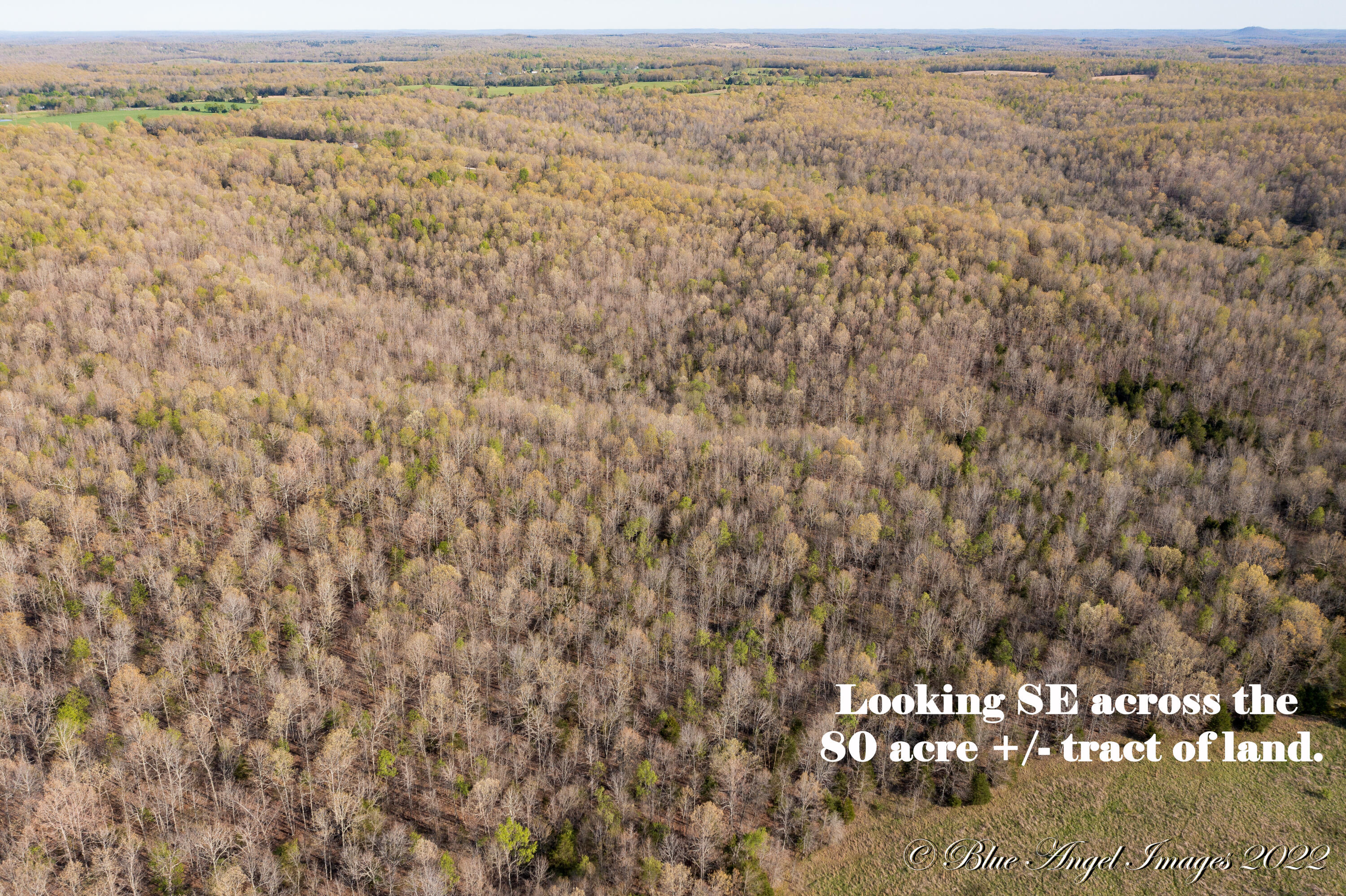 View West Plains, MO 65775 land