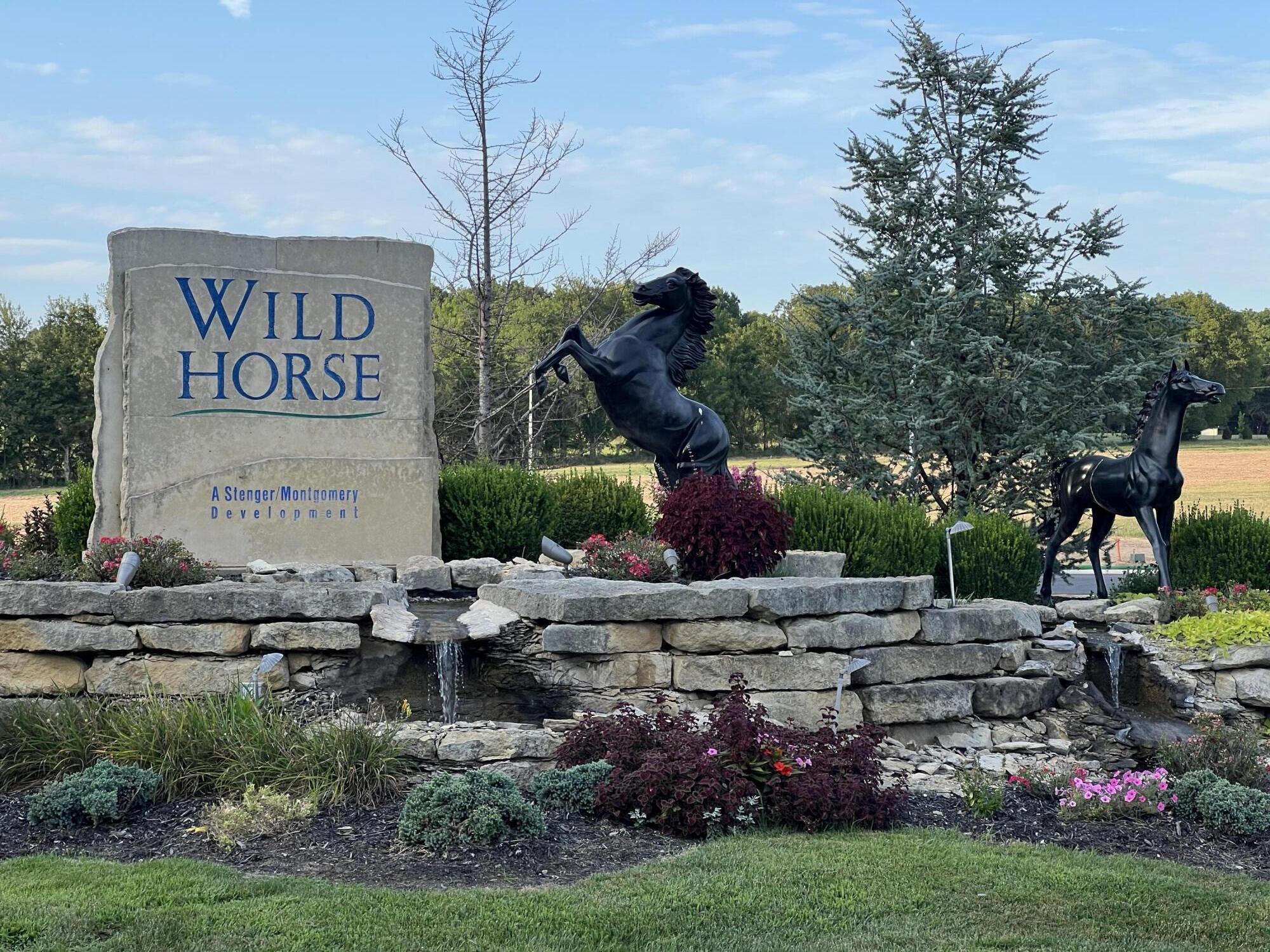 Wild Horse Phase VI lot 5