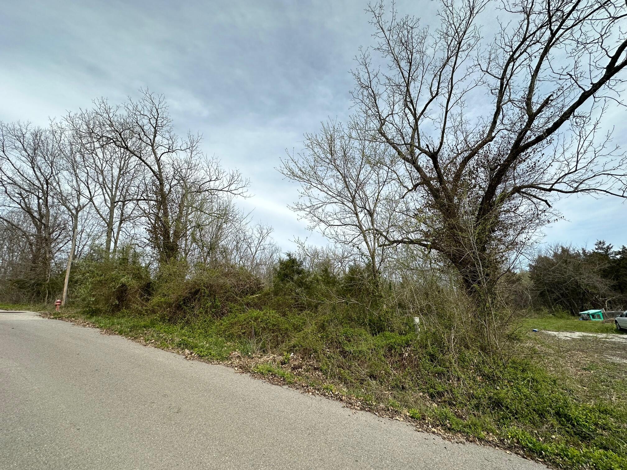 1 Acre M/L in the outskirts of Hartville, Mo.! Property is an ideal space for building or extra parking for the commercial listing (#60241076). Priced to sell and won't last long!