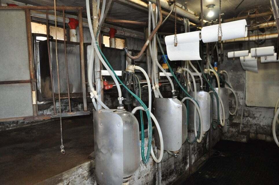 N/A - Farm