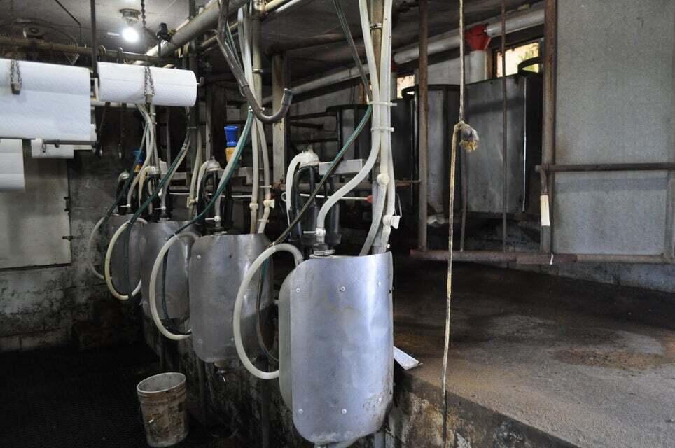 N/A - Farm