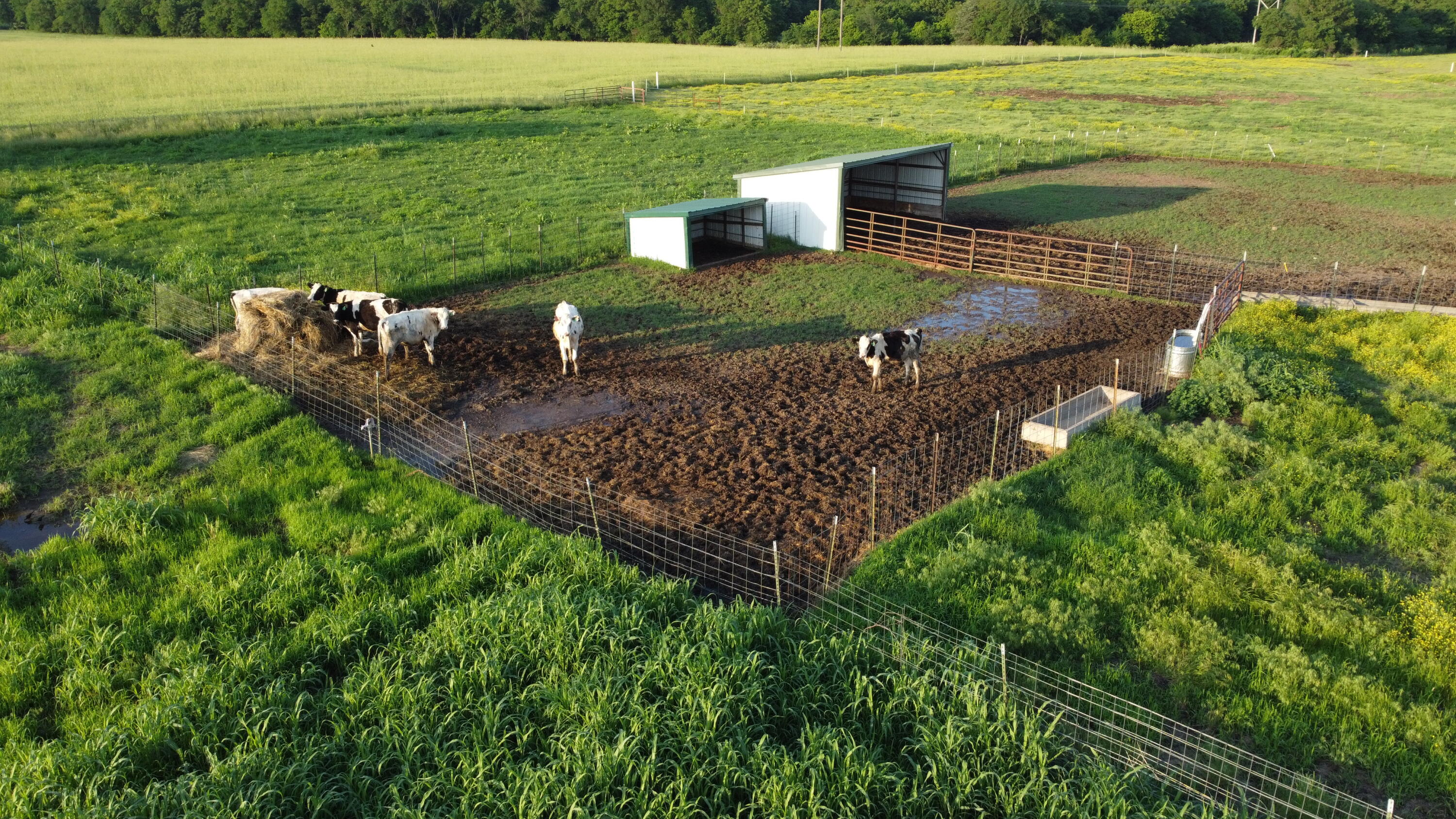 N/A - Farm