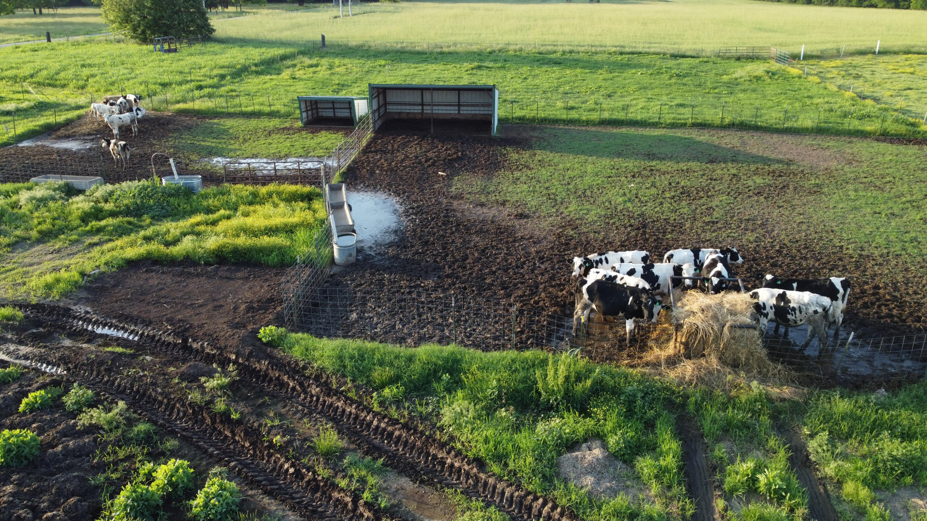 N/A - Farm