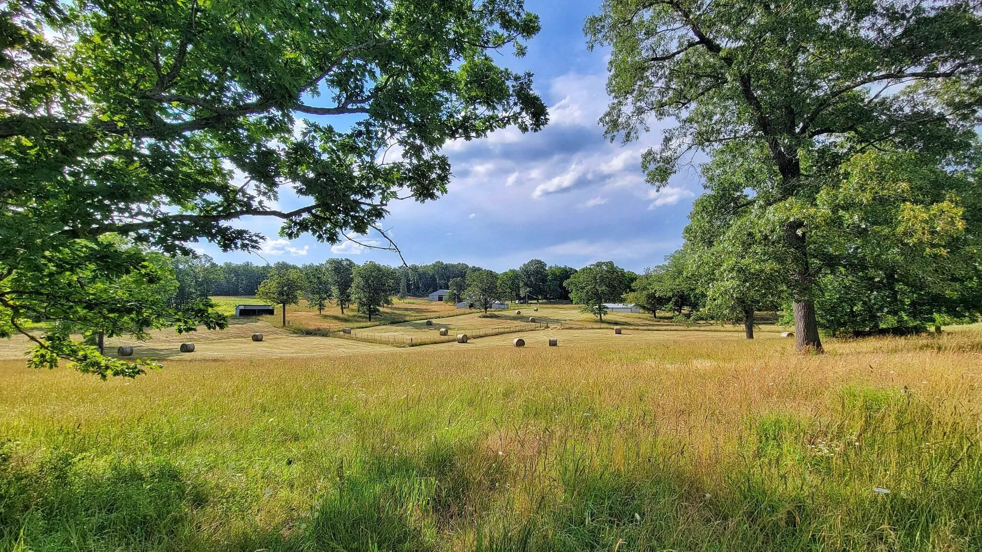 N/A - Farm