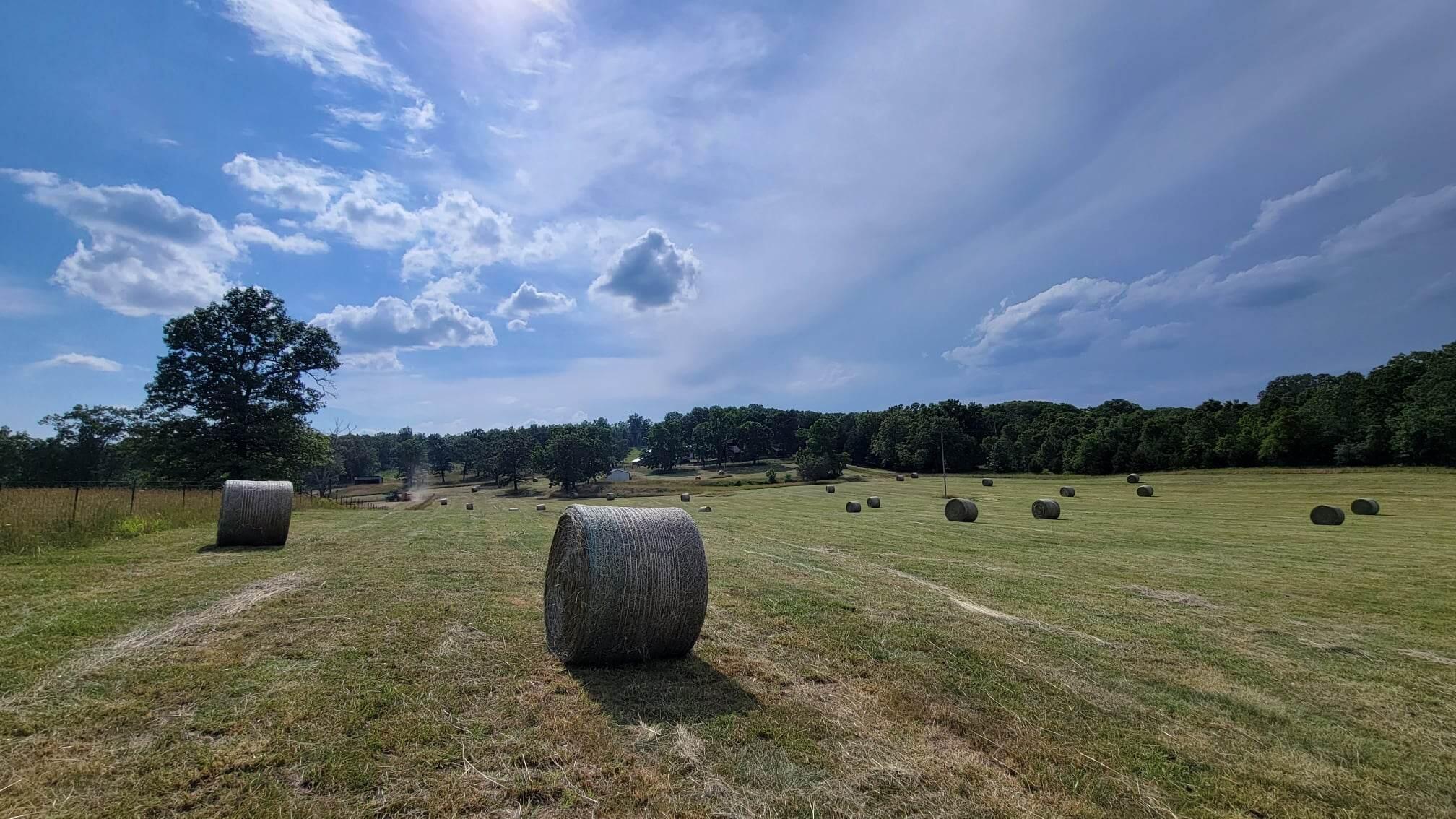 N/A - Farm