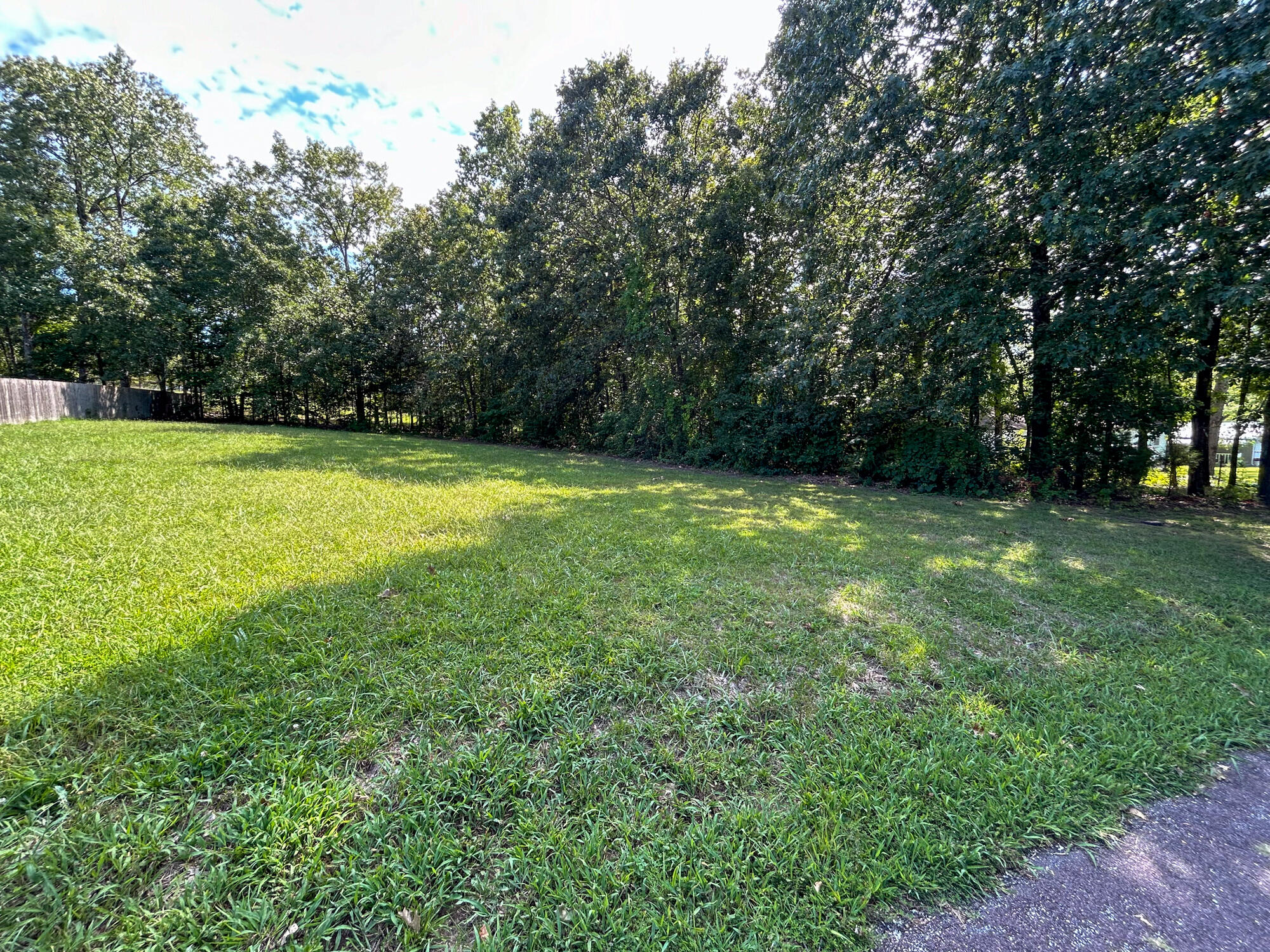 Discover this pretty, well-sized lot on the outskirts of Mountain View, MO, city limits. This piece is a mix of open and woods in an established neighborhood. This property is just 1/10 mile from W Highway and 8/10 mile from the Mountain View 18-Hole Golf Course. With its beautiful landscape and ample shade trees, this site is perfect for building your dream home.