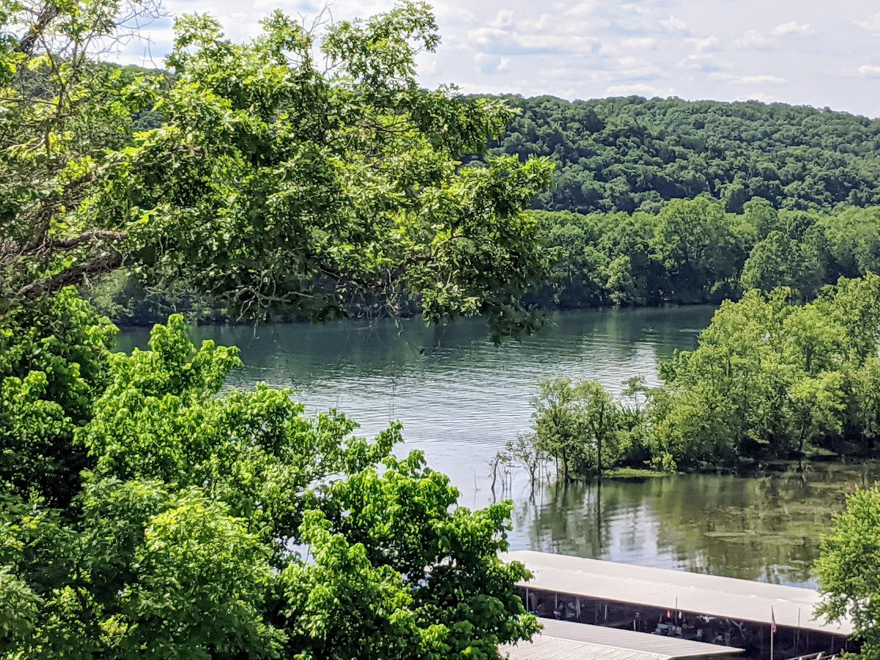 Taneycomo Terr-For - Residential