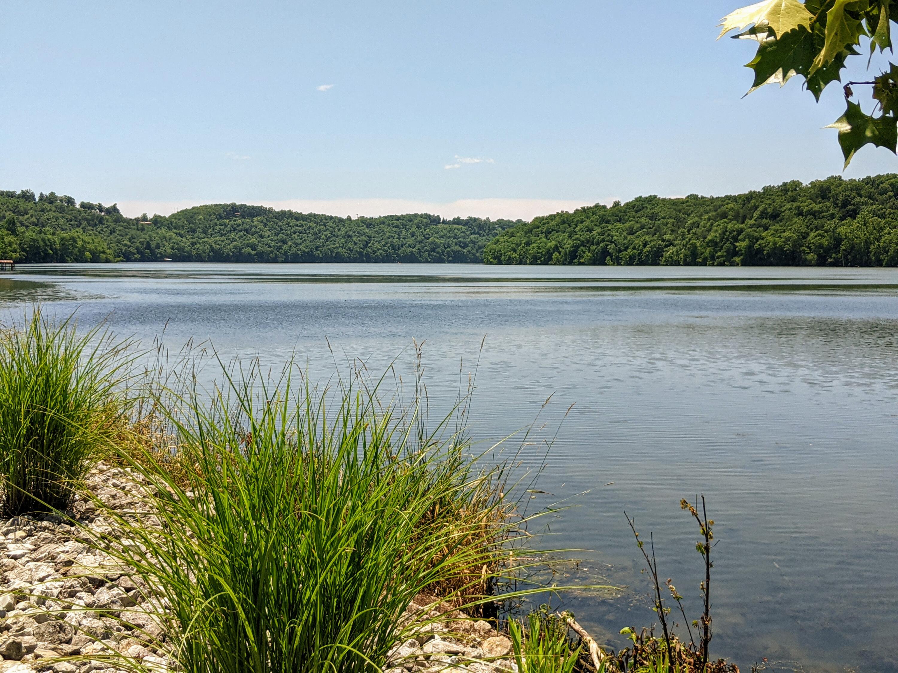 Taneycomo Terr-For - Residential