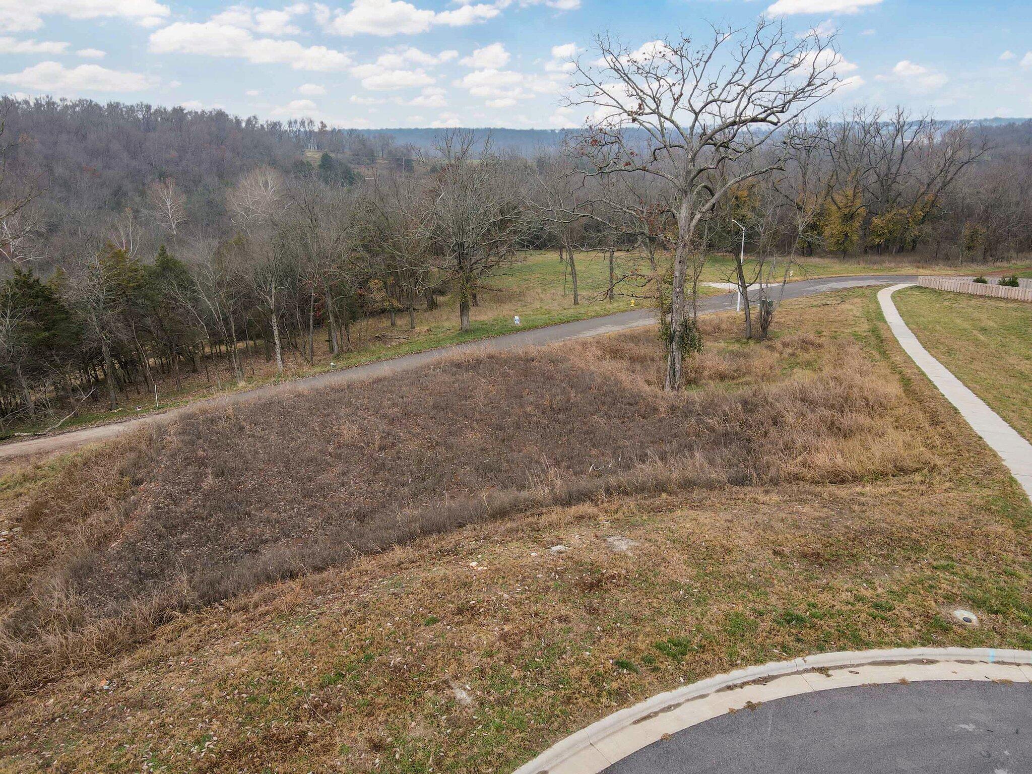 Talk about an amazing view in one of the best south Springfield neighborhoods! Just imagine sipping your morning coffee with a panoramic view of the trees just beyond your porch. You may even see a few deer!Anthony Park subdivision is close to hospitals, shopping, and has convenient access to most major thoroughfares. With pool, trash service, pickeball courts, basketball courts, and walking trails, this neighborhood has everything you could ask for. Disney/Cherokee/Kickapoo schools too!This large lot is ready to build on and has already been compacted and engineered. It's ready to go! All that remains is your vision!