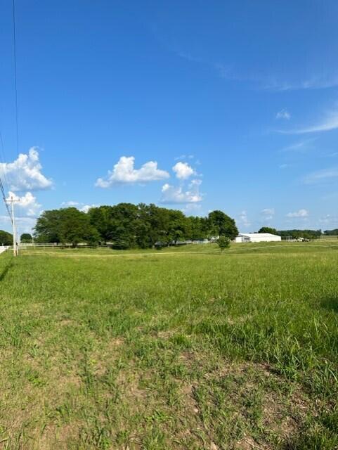 Great opportunity to own a 1.56 acre corner lot just outside of town. Beautiful property to build your dream home.  1/3 interest in well. Easy access to Hwy 65, close to Springfield and Branson. Ozark Schools.