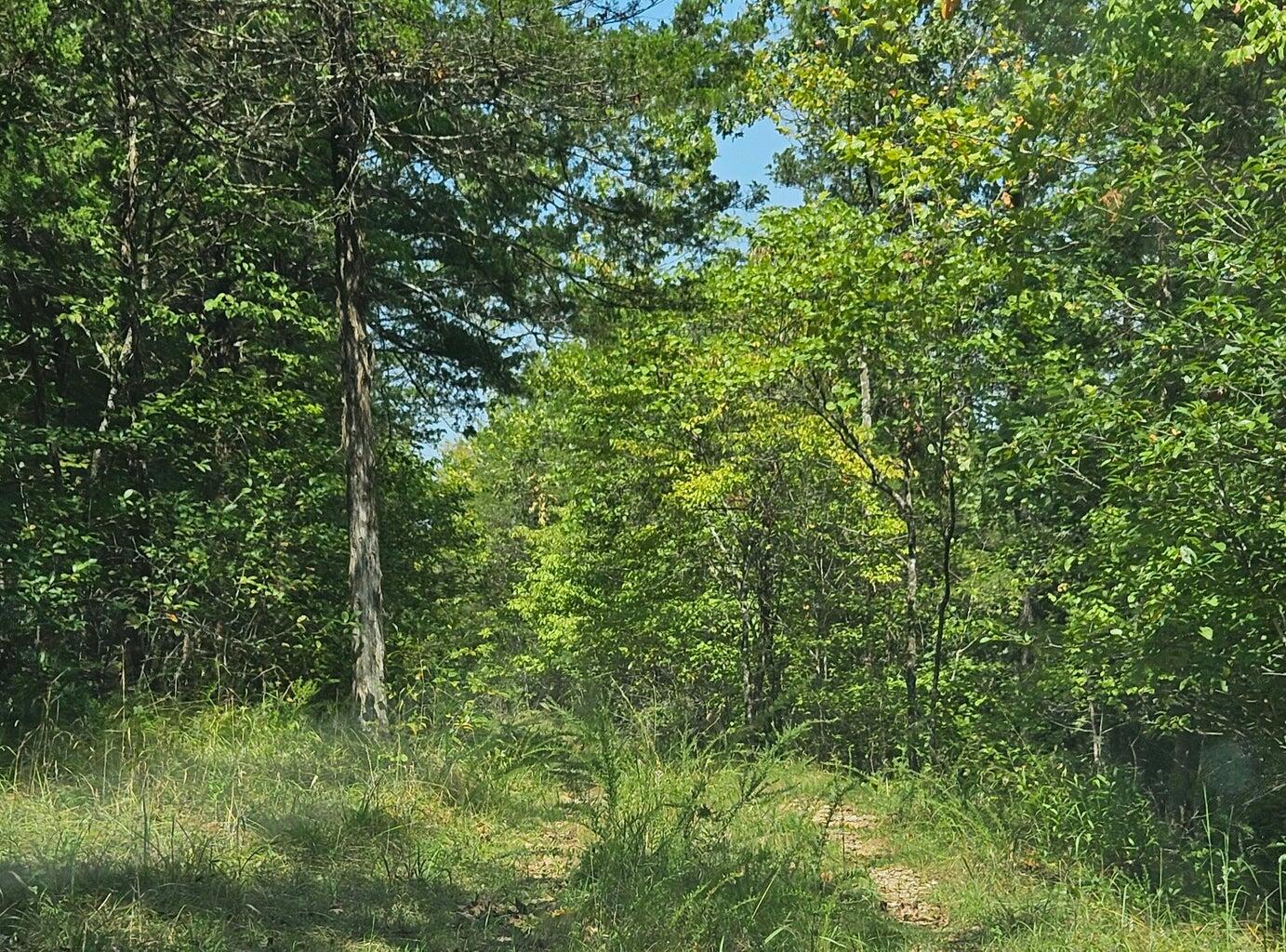 Ozark-Not in List - Land