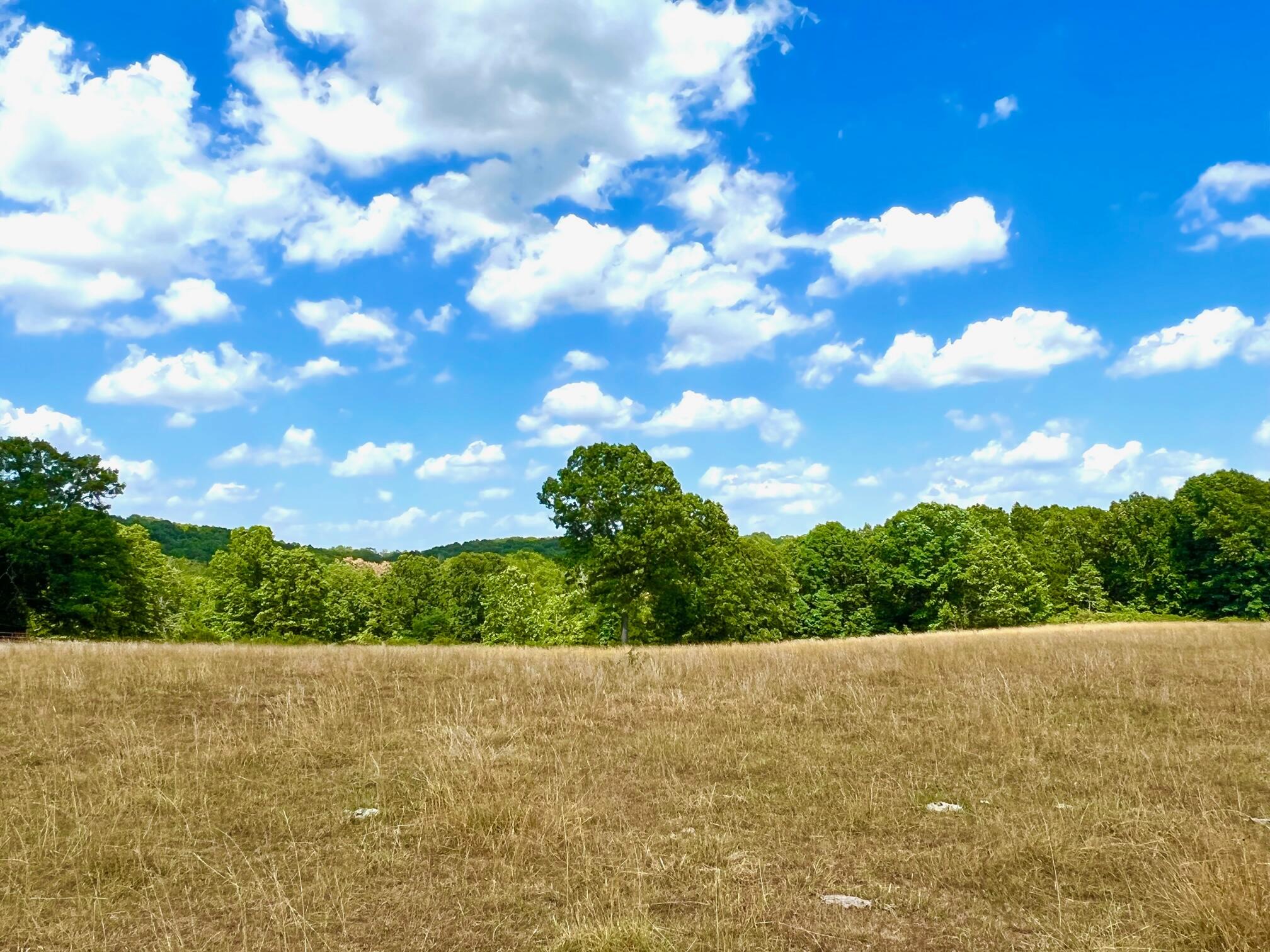 This once in a lifetime property is on the market! 258 acres of beautiful rolling land in the heart of the Ozarks. This property has highway frontage, mature timber, open pasture, hay fields and many prime building locations. With five ponds, a wet weather creek, well, 48x44 enclosed hay barn with 12 foot loafing shed on the south, solid parameter fencing with steel posts and five strand barbed wire, makes this a turn key livestock operation. In an area known for its abundant wildlife, enjoy the endless hunting opportunities right in your backyard. Land borders property owned by the Missouri Department of Conservation. This is truly a place to call home!