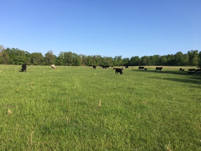 N/A - Farm