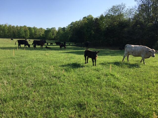 N/A - Farm