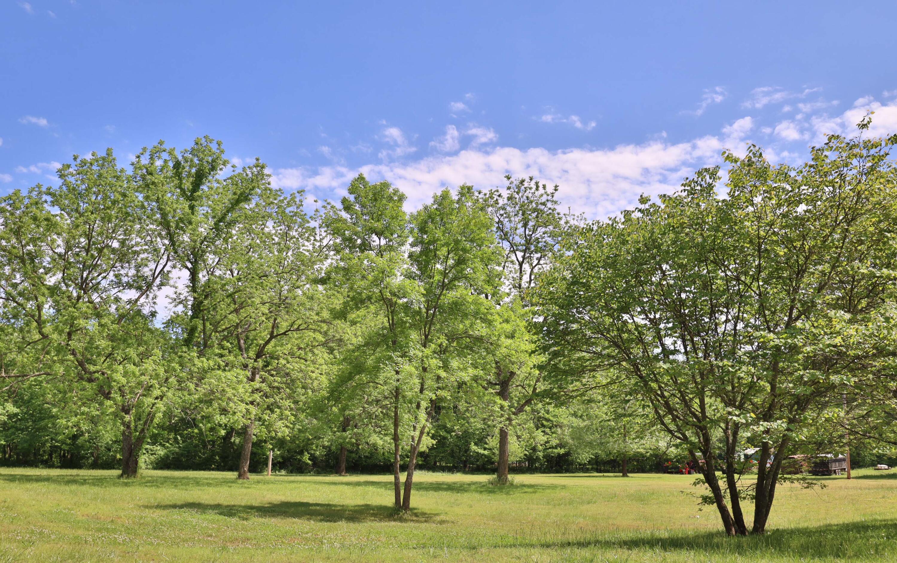 Greene-Not in List - Residential