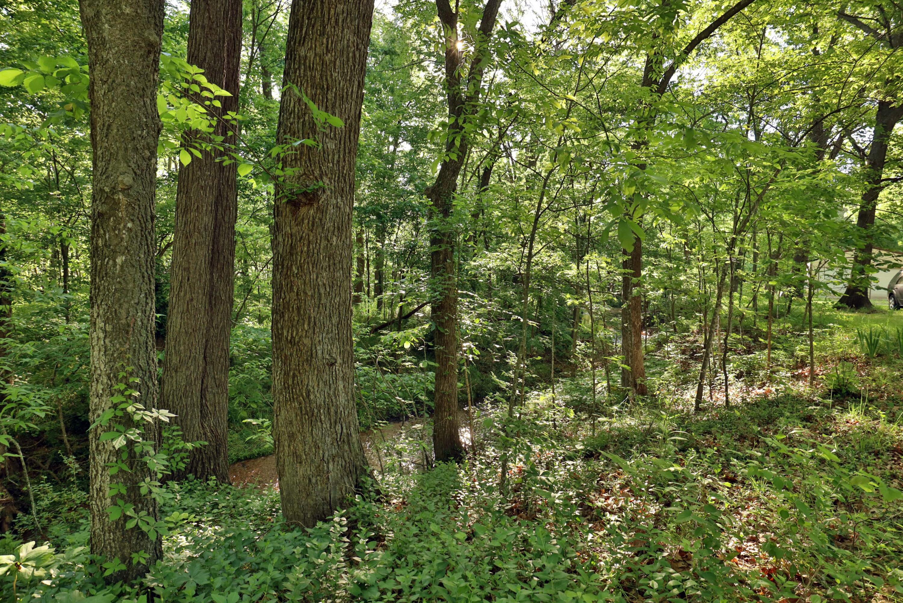 Greene-Not in List - Residential