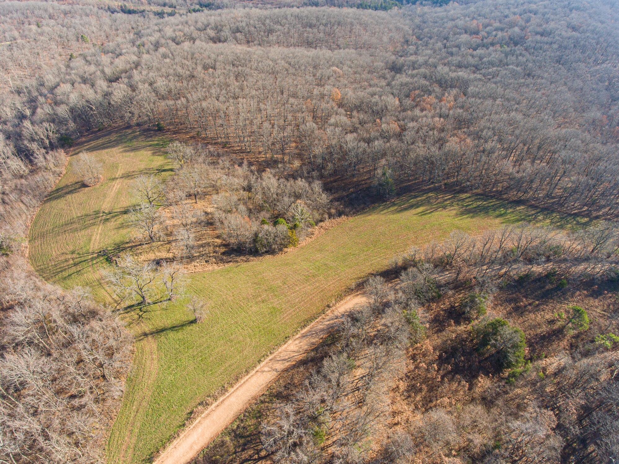 Beautiful well maintained open property. There have been 2 perk test completed on this land. Great place to build your home or just a weekend getaway. Only 8 mins to Pineville and about 20 mins to AR state line. There are no restrictions on this property. The land is completely surrounded by trees to make for a peaceful setting.