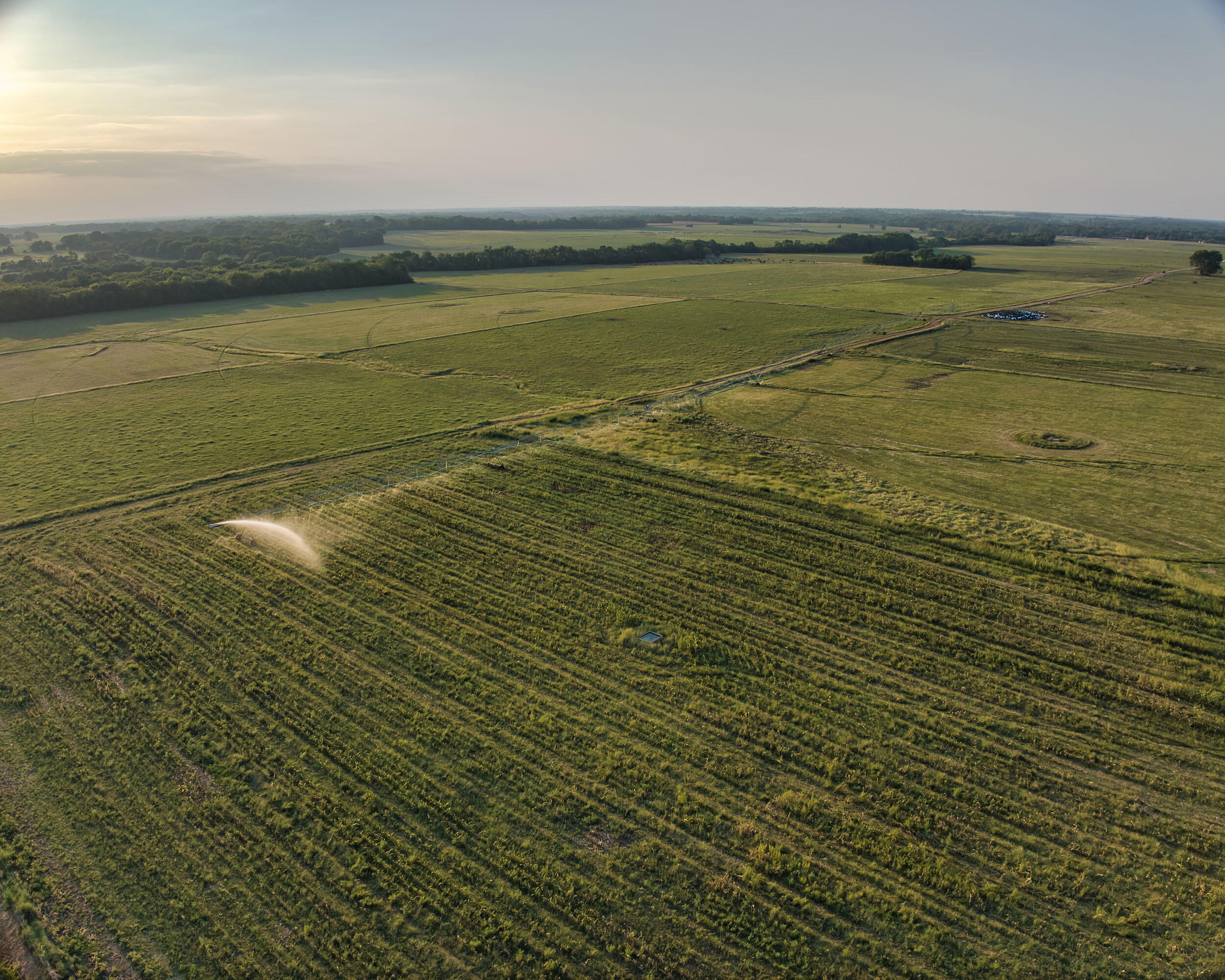 N/A - Farm
