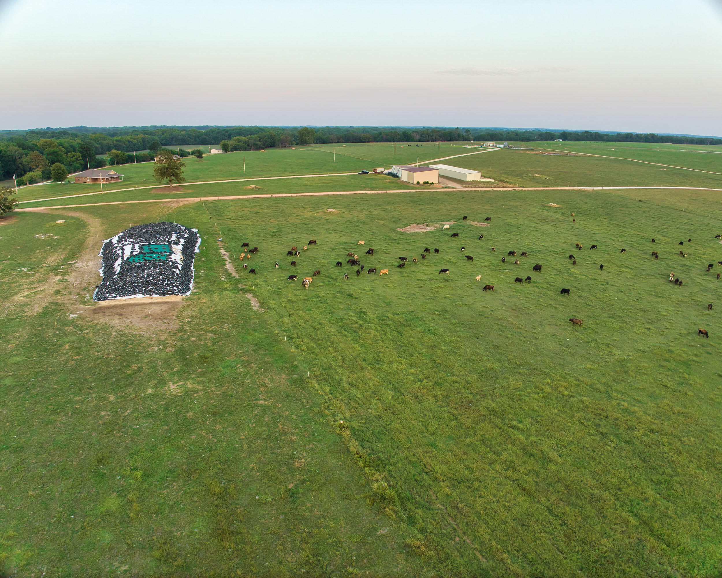 N/A - Farm