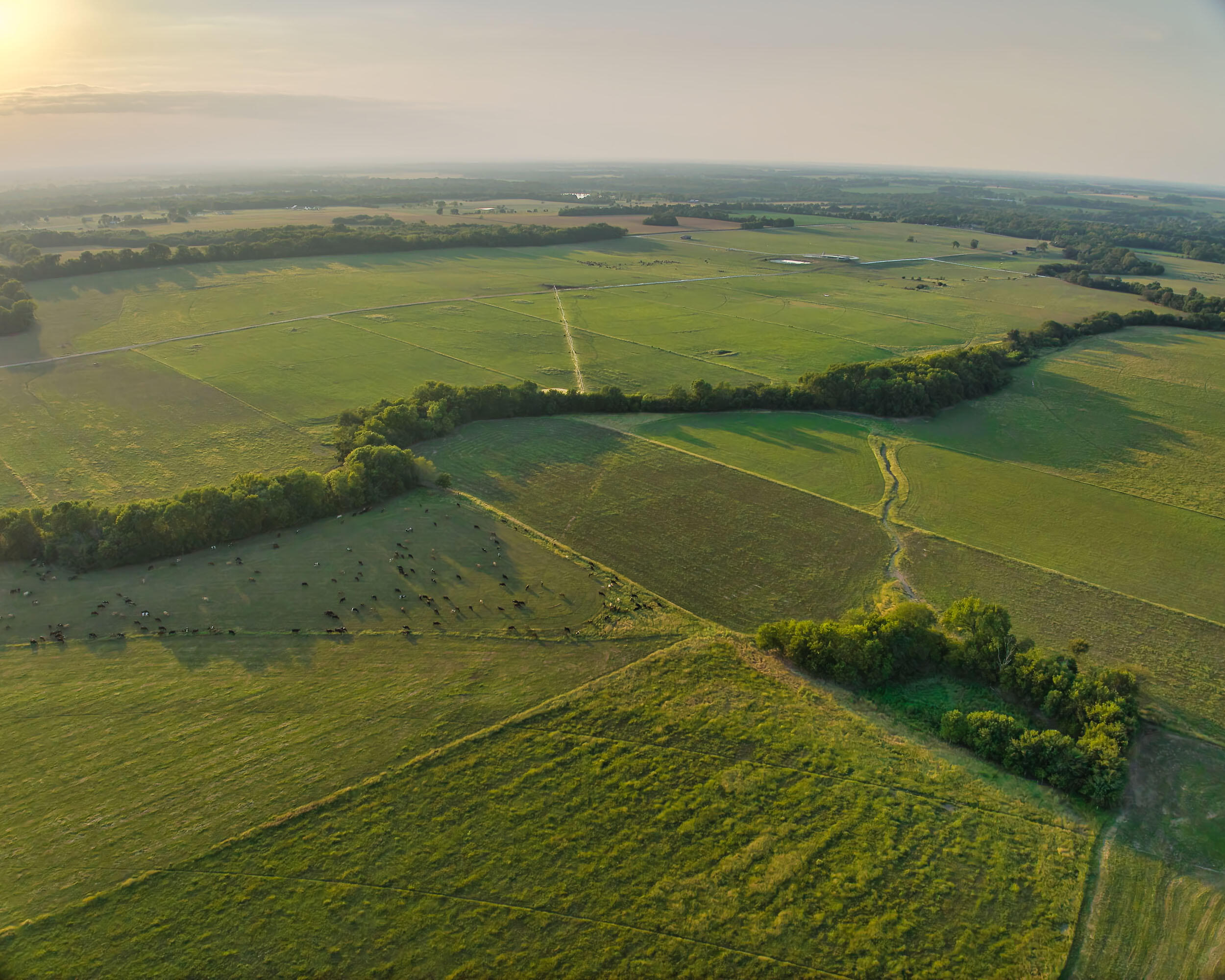 N/A - Farm