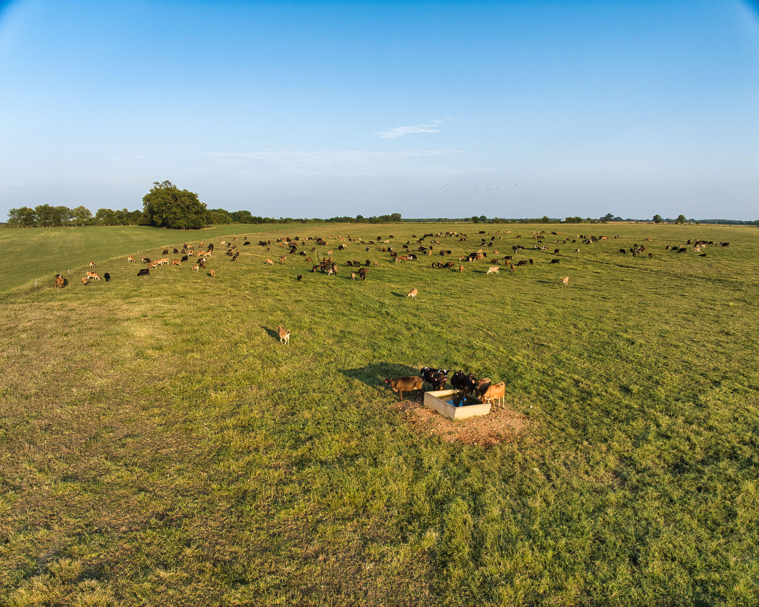N/A - Farm