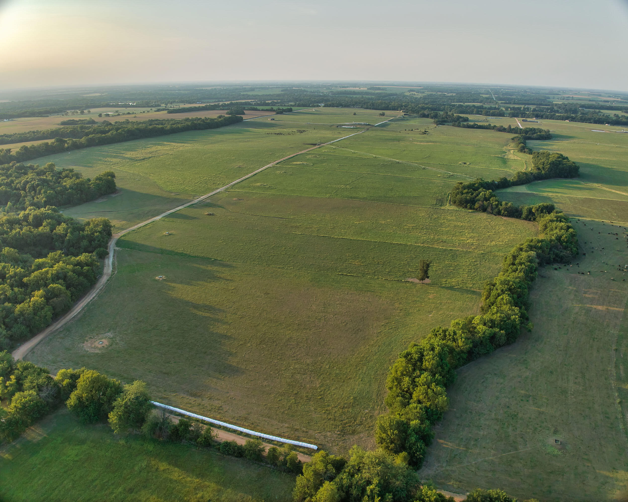 N/A - Farm