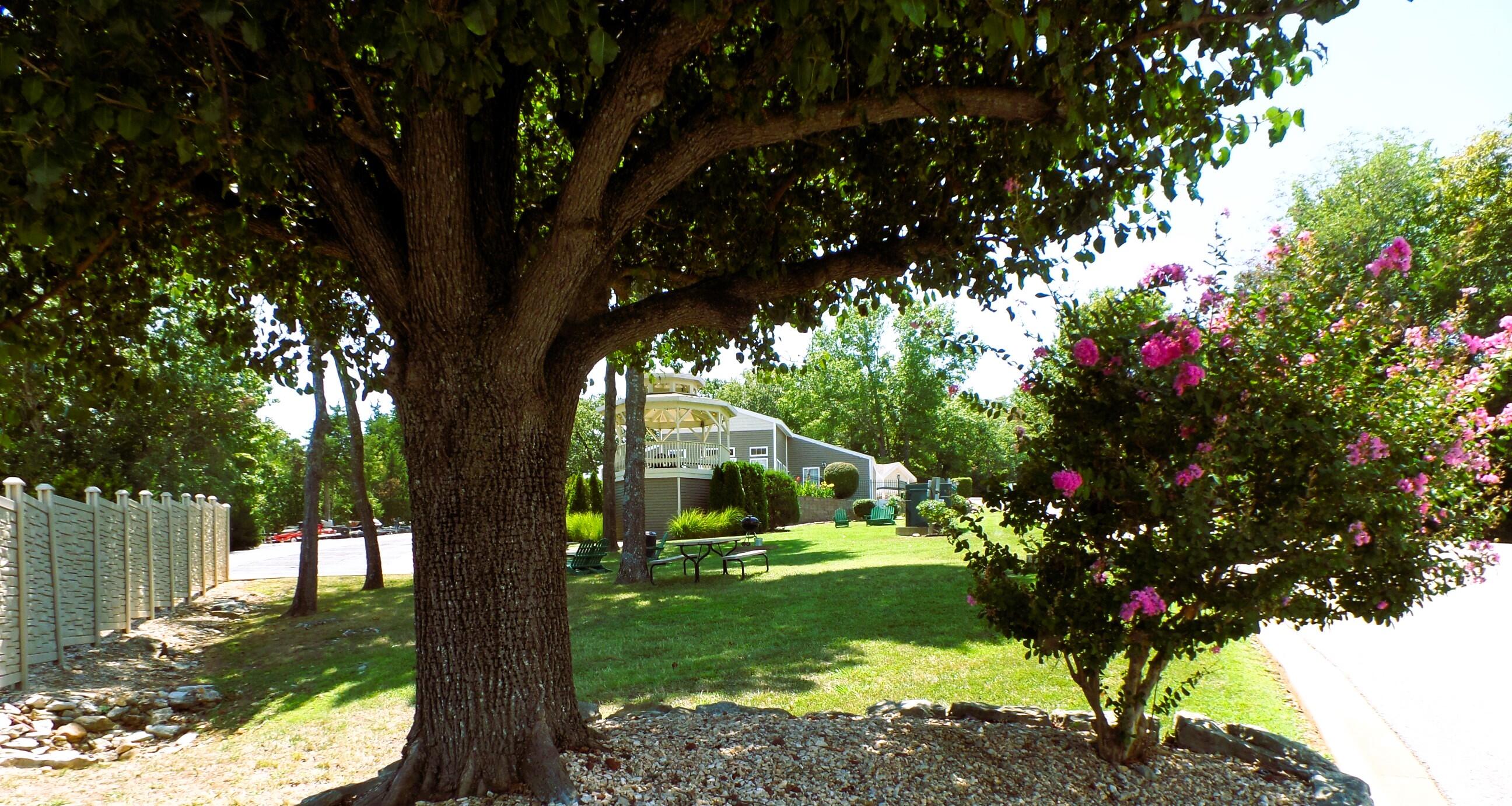 Ozark Mountain Resort Condos - Residential