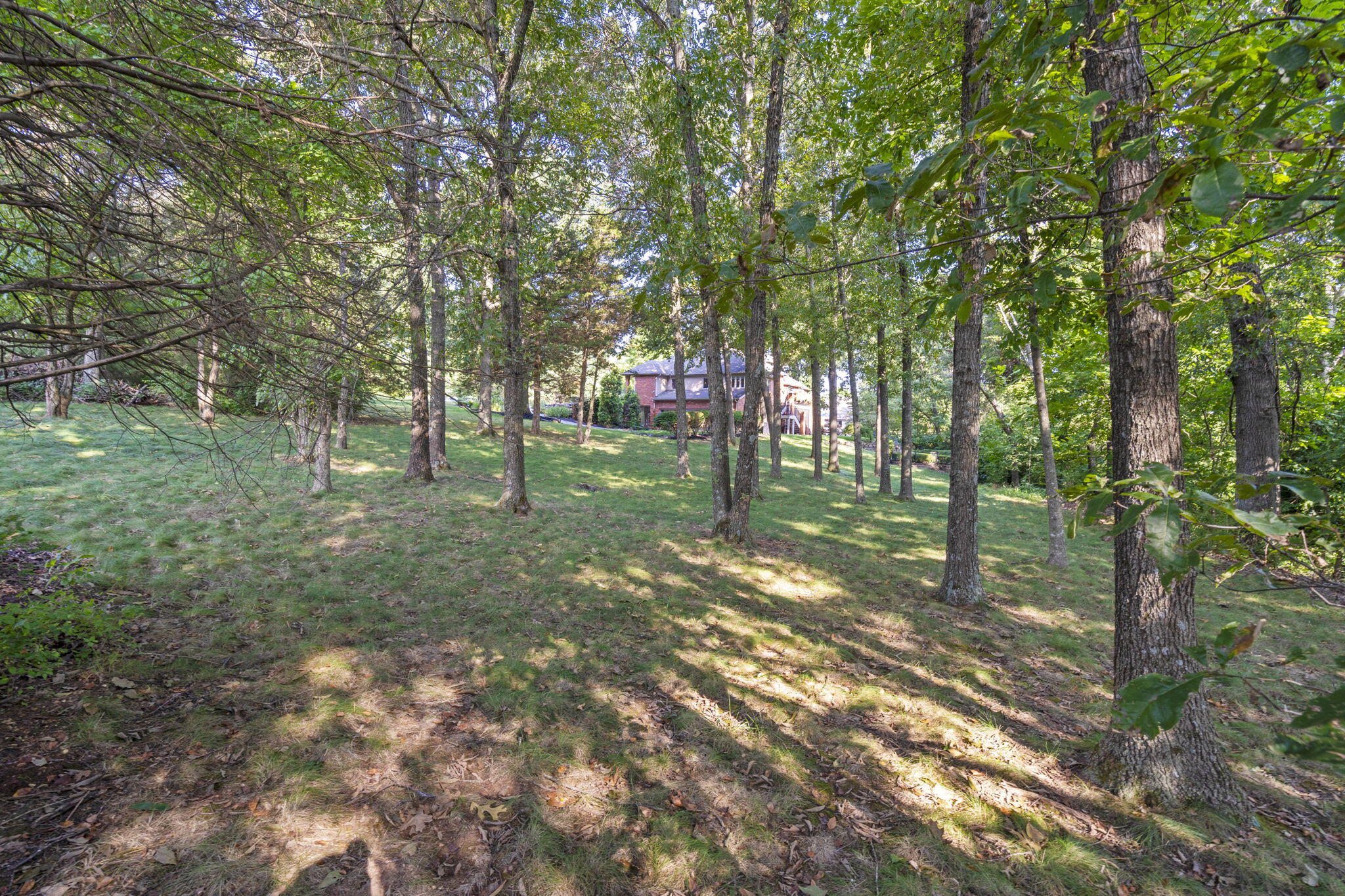 Chapel Hill - Residential