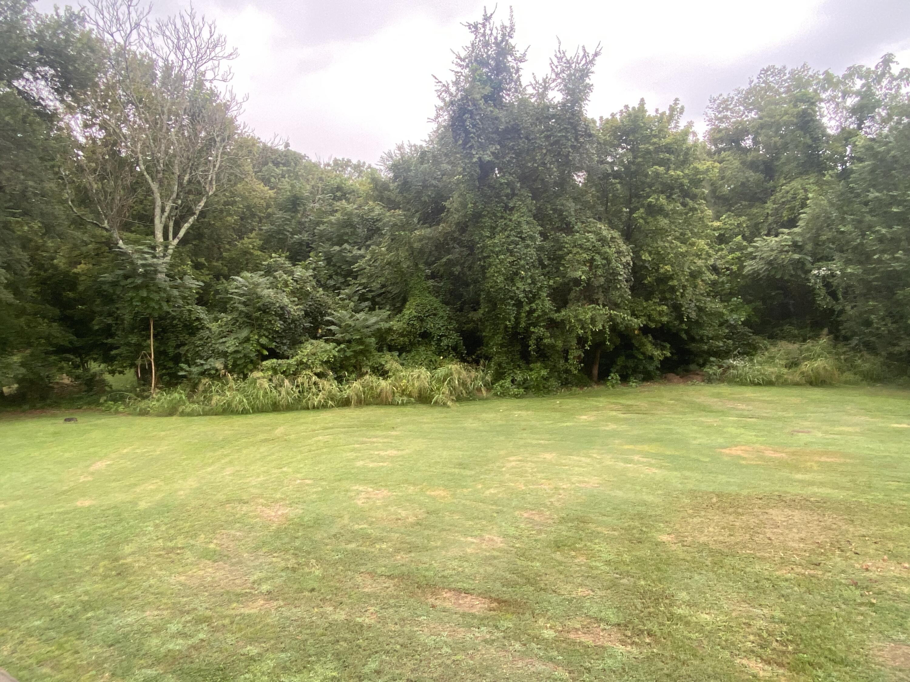 Greene-Not in List - Residential