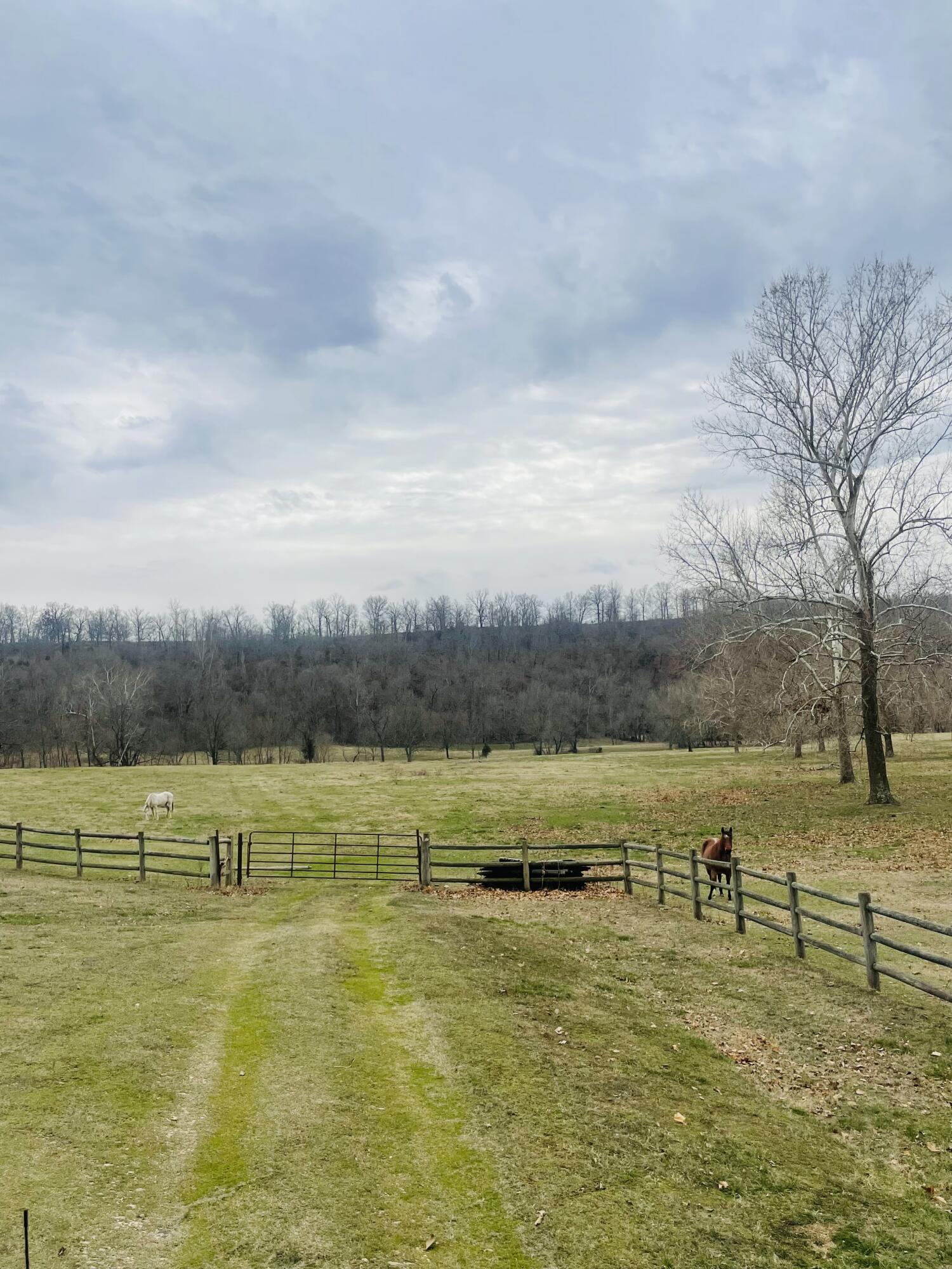 N/A - Farm