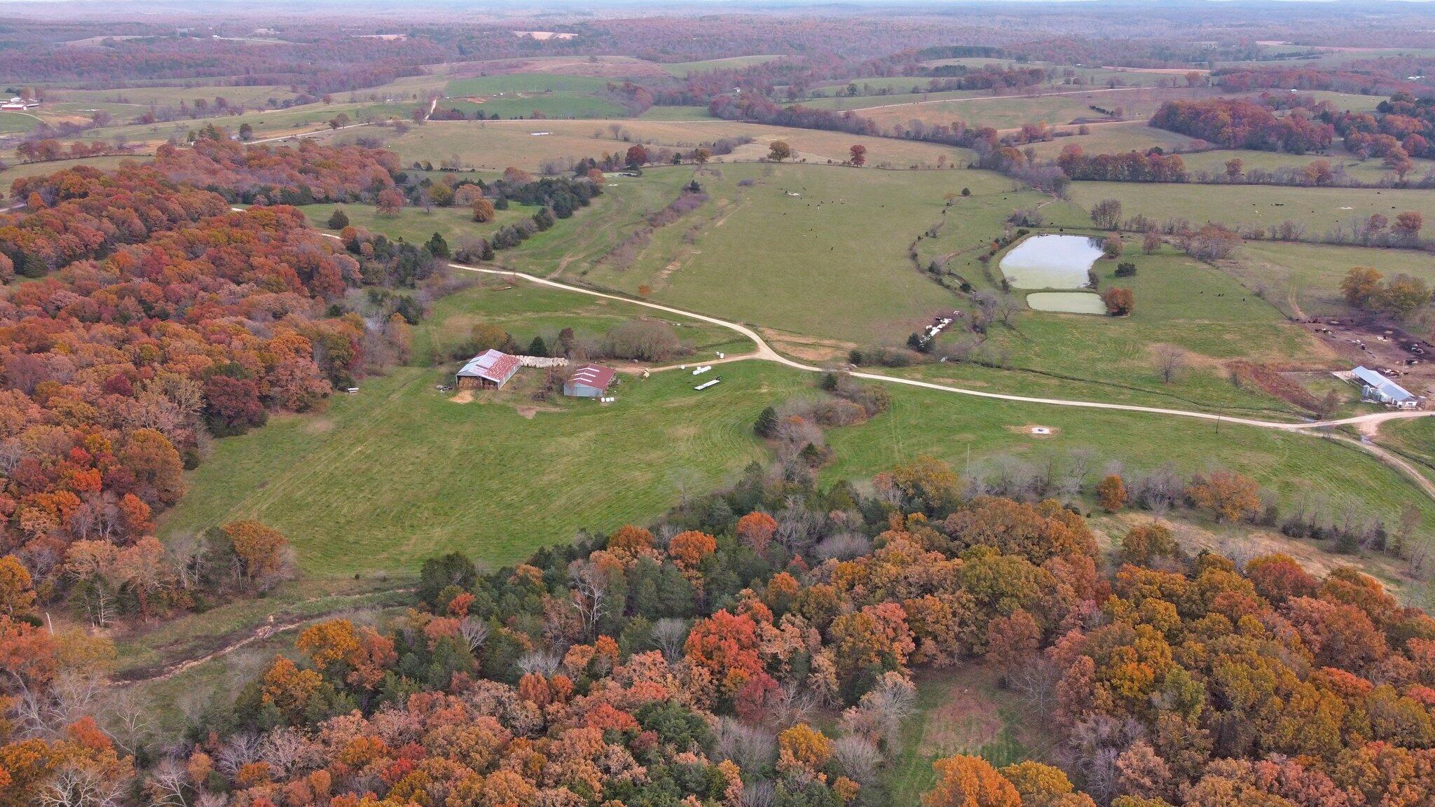 Southern Missouri farm is 315 Acres M/L of rolling pasture land and grazing land.  There are some woods for cover and hunting, but this property is made for grazing!  It had been a dairy but is now a beef operation.  There are large working pens, 9 ponds, a large spring, and a creek on the property.  There are 2 wells with 7 waterers.  The pastures are broken into 9 paddocks and grass, grass, grass!  Mostly hayable on the east side and pasture on the west side.There is a manufactured home, but plenty of building sites with amazing distance views!The home is a manufactured 3-bedroom/3-bath home built in 2004.  It is open-concept with a large kitchen with bar and island, a light-filled dining area, and a large great room with a fireplace.  There are 2 bedrooms with a bath on one end of the home.  The master suite is separated.  There is a laundry room with a full bathroom off of the side porch.There are large barns and hay storage.  The dairy barn is still intact and the facilities are large.  Good ground, good grass, and tons of water!