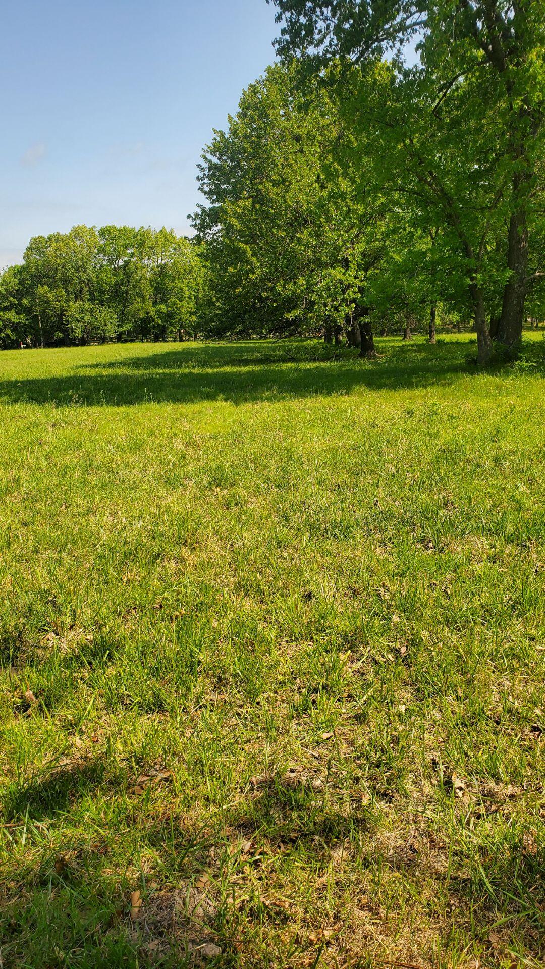 Building Site on two level acres. No Restrictions - Cabin, Mobile Home, Tiny Home, Camper all okay. On corner of Dade County Road 92 and Hwy 39. Fenced on 3 sides. Three miles to Boat Ramp on Sons Creek - Stockton Lake, Four miles to Greenfield Access Boat Ramp on Stockton Lake. Priced to Sell for $15,000.