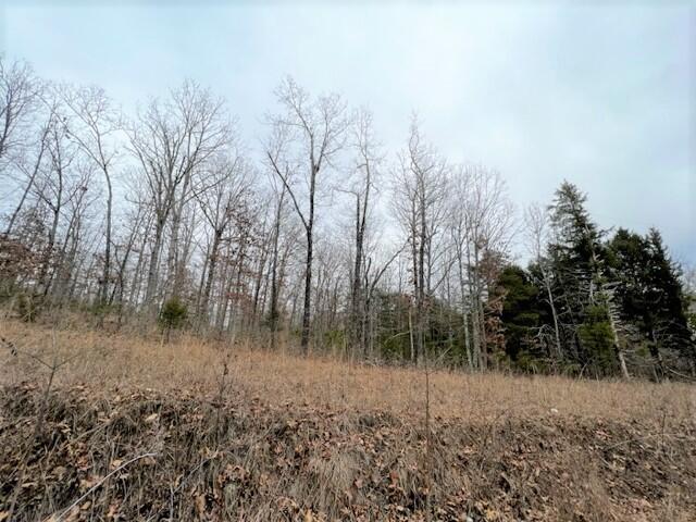 Located in Shannon County, MO- MV School district 40 acres m/l with electric available, small pond,  wet weather creeks, and nice place to build your dream home, or use for hunting.. No restrictions! Listed at $99,900.