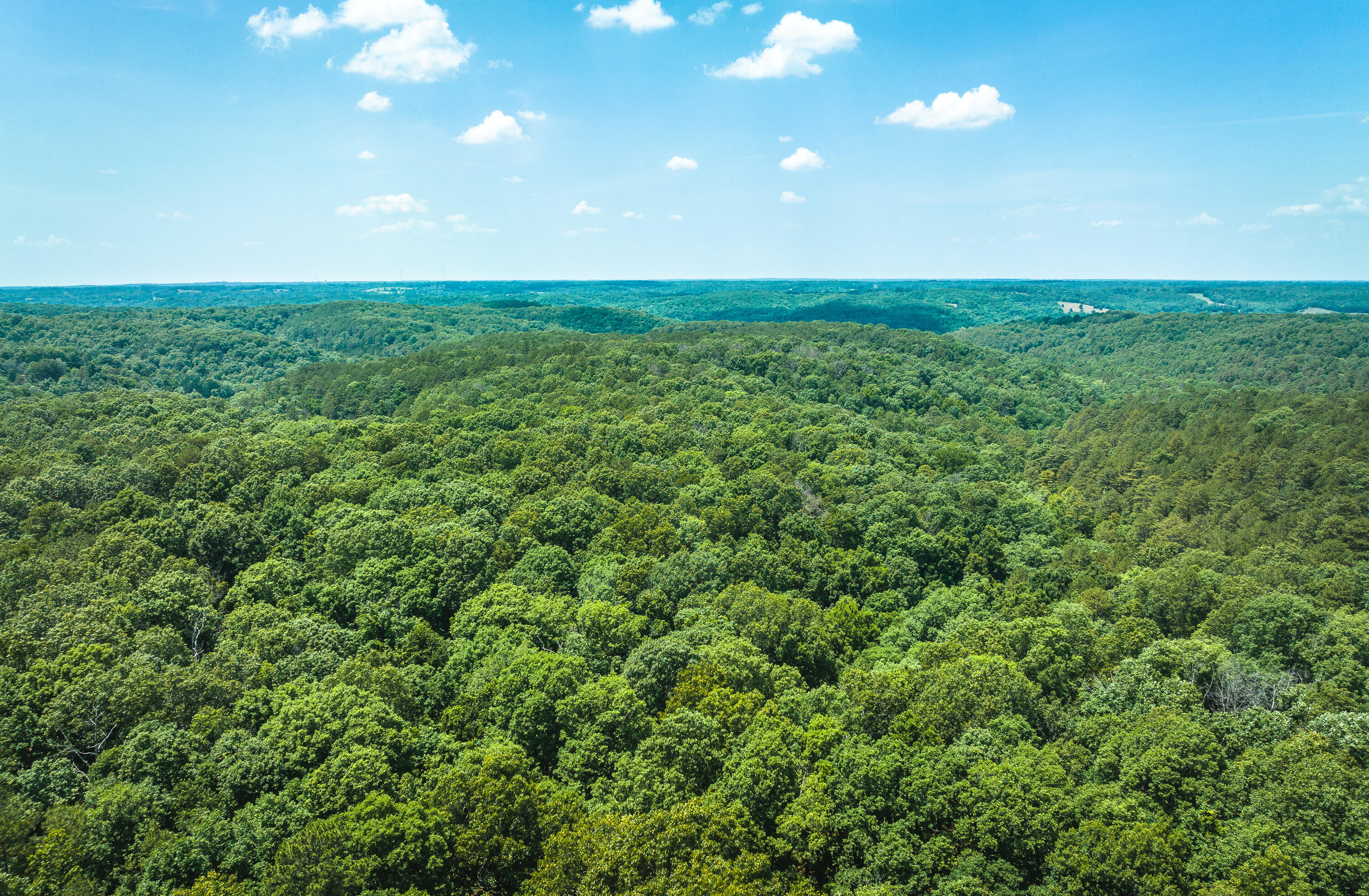 Here is a rare opportunity to purchase 25 acres nestled inside 2100+ acres of the Huckleberry Ridge Conservation Area located in Pineville MO. This exceptional acreage boasts plenty of locations to build your getaway cabin or dream home. The Huckleberry Ridge 25 also offers plenty of fresh cut trails for UTV, Horse, Mountain Biking, or Hiking with deer and turkey sign indicating an abundance of hunting opportunities. Add that you have immediate access to 2100+ acres of Conservation area known for some of the best horse, bike, and hiking trails in Missouri or all the hunting one could want, and this becomes a true outdoorsman paradise. Pineville MO is located conveniently near NW Arkansas and just minutes to Bella Vista Arkansas or Joplin MO via Hwy 49. Pineville is also home to the recreations of theElk River and The Big and Little Sugar Creeks regionally known for floating, fishing and camping. Come take a tour today and see why this is an opportunity you won't want to miss.  Note - Water pictures and video shows water recreations in the area, land does not have water.