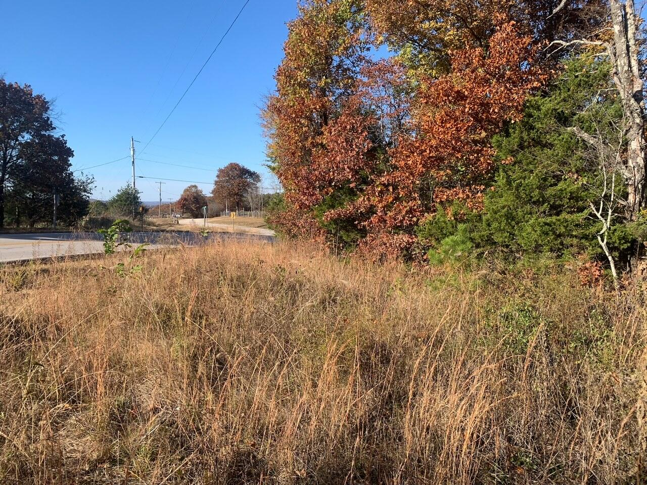 11.90 Acres on Hwy 76 that backs to Mark Twain National Forest. Rolling hills and treed. Old access road is 4 wheel vehicle only. Owner says there was two building sites but has limited knowledge. No utilities that we are aware of, but electric lines on property. This is a part of the Ozarks on Hwy 76 and close to Hwy 39.