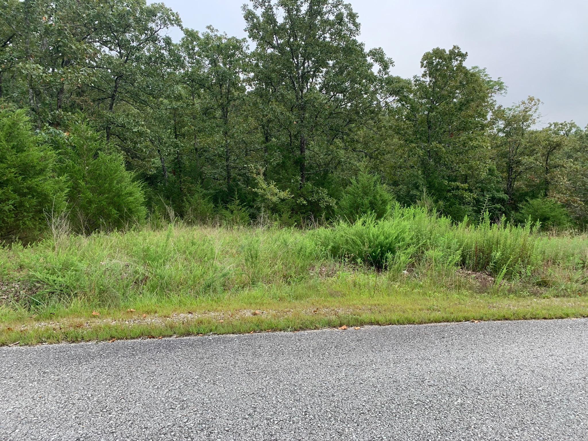 Great Lot to Build On OR just buy to have access the LedgeStone Golf and Country Club Membership rights and benefits. Discounted golf, Social Activities, Swimming Pools, Tennis Courts, discount on Dining and Bar Service. Monthly POA dues are $165 per month and really makes Life Good. The lot location is superb with paved roads in gated community, all utilities to lot line including high speed internet. Towering trees for privacy and very gentle slope for building your dream home. StoneBridge Village does have Architectural Controls, but nothing too restrictive. The see more about the Village, the governing documents, social calendar. newsletter and more, go to www.sbvpoa.orgYou will enjoy being a part of this growing community of people from everywhere. The social life is so enjoyable. The Golf Course is Beautiful. And it's a great place to call home.