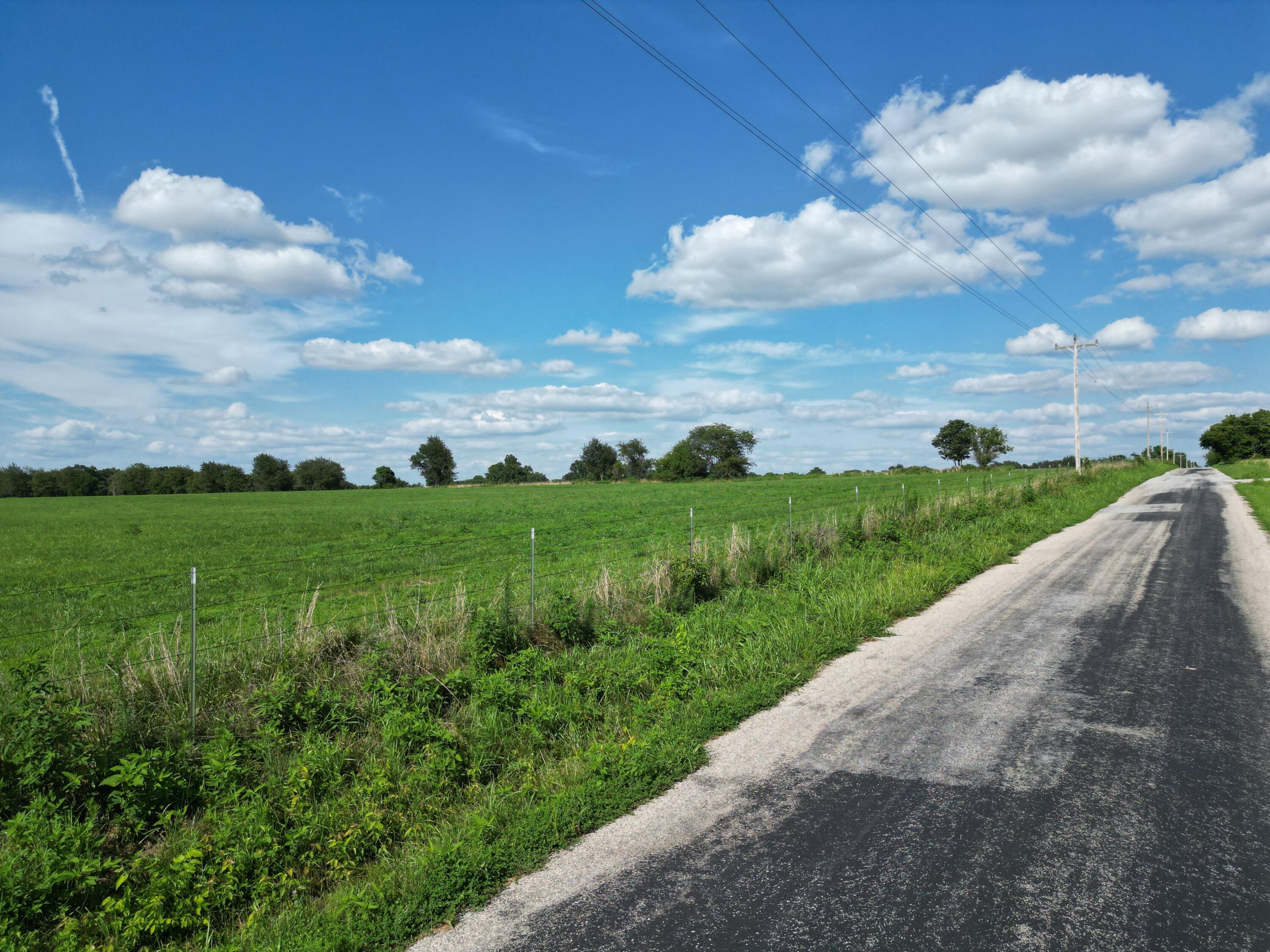Here is your chance to own 40 +/- acres of plush pasture ready for your livestock! Situated south of I-44 between Mount Vernon and Monett, this farm has blacktop road frontage. Fully fenced and ready for your operation.Build your dream home in a nice quiet setting with great access to I-44 and endless possibilitiesIf you like working cattle with a view, this farm offers some incredible scenery. The beautiful farm has a mixture of lush spring grass making this farm a must-see don't miss your opportunity to own this stunning Lawrence County farm! This farm is a highly sought-after farm in a great location.