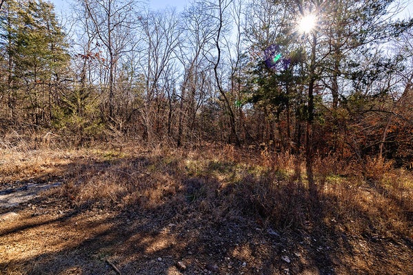 ADDRESS PRIVATE, ROCKAWAY BEACH, MO 65740 - Image fc77c77f4adbbfeef8961e4410e60ce8/101647580