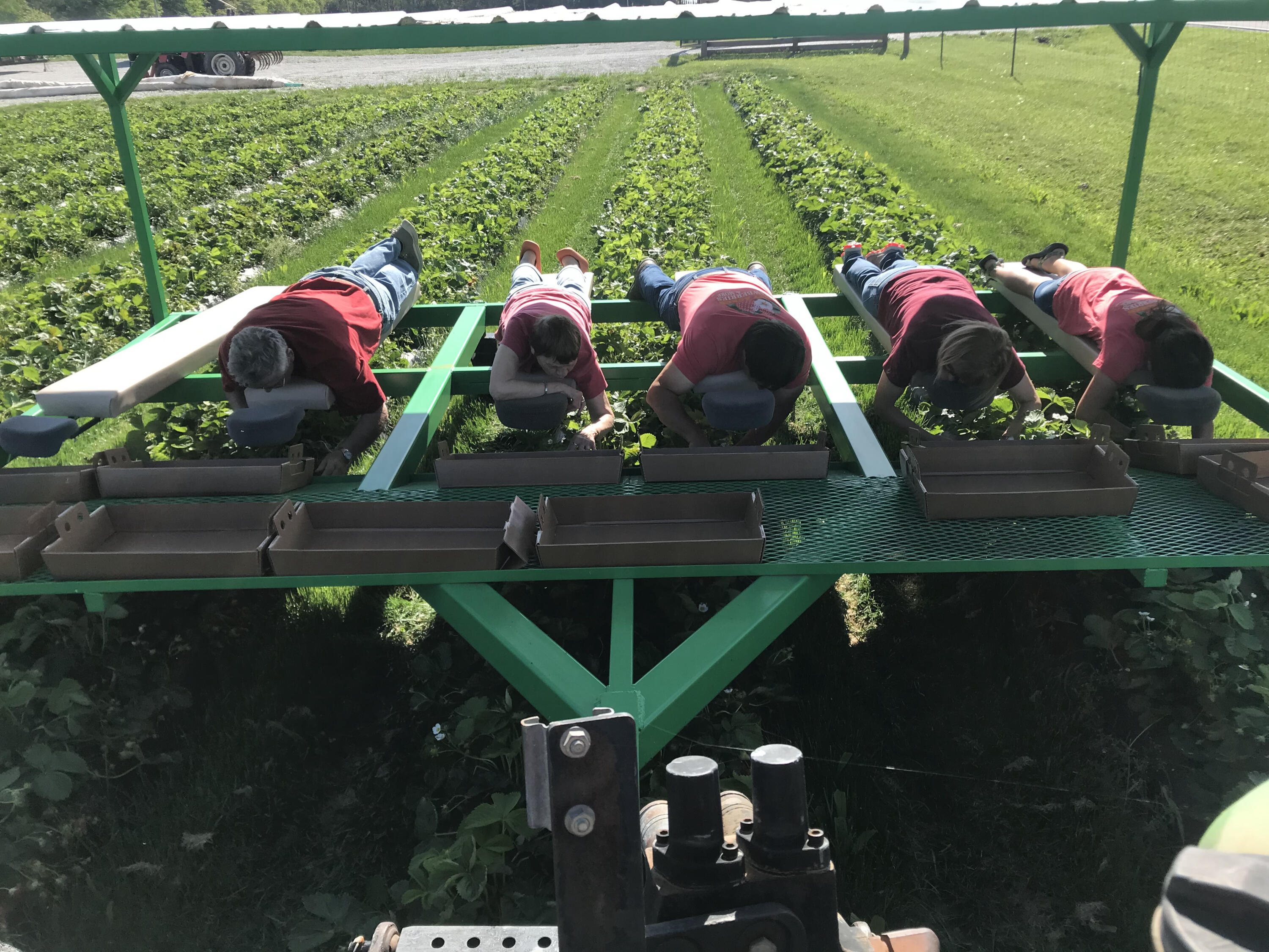 N/A - Farm