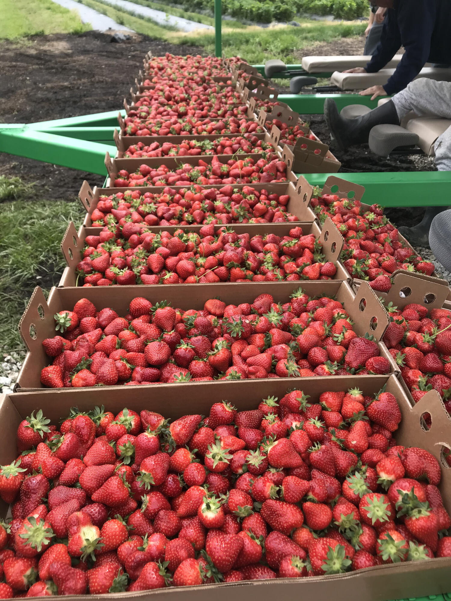 N/A - Farm
