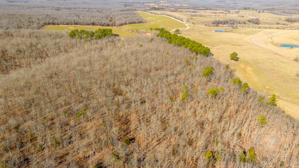 This 80+/- acres is prime recreational hunting ground! While it is not very far off of Highway 63 south of Edgar Springs, it feels like you are in the middle of no where. With a solid mixture of timber across the property you will find everything needed for solid habitat for wildlife.With surveyed access into the property off of a private road, you will have the ability to come and go as you please and would have ample selections of great level build site options if you chose to do so. The property was select cut a number of years ago, but there are still many mid-sized trees throughout the property. With an extensive trail system throughout, it is a breeze to get around the entire property. There is existing fencing along the western and northern boundaries. In the Northwest corner of the property you will find some large mature pines and rock outcroppings that lead down into an old dry creek bed. This area would make a beautiful spot for a pond with natural drainage to feed it. No matter what direction you would like to take it, if you are looking for a solid 80 acres to work with to build your dream recreational or full time property, take a look!
