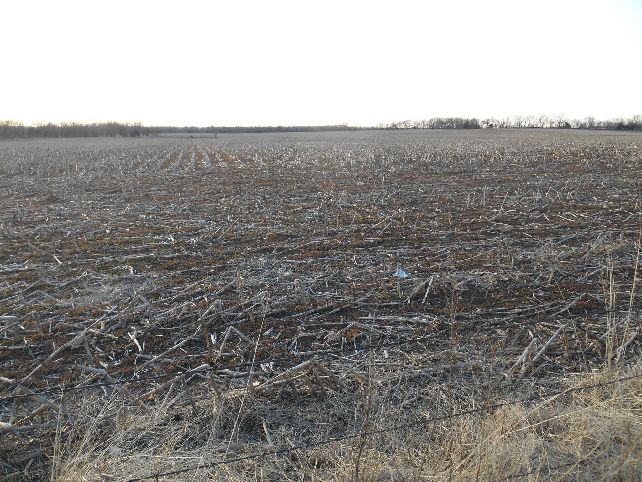 Gently rolling crop ground with 2 ponds Have house and 5acres can be available.