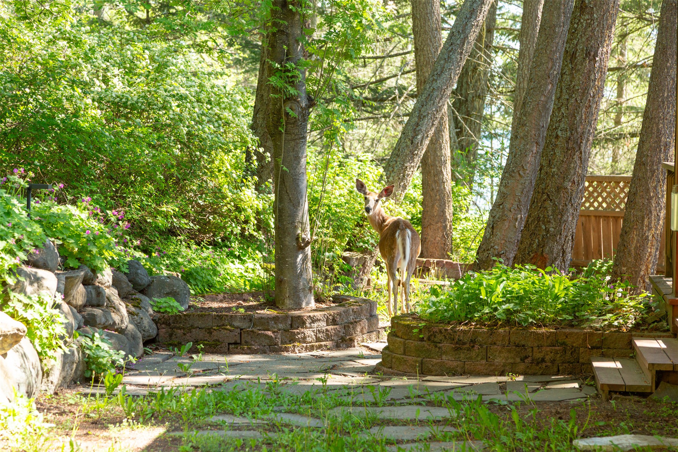 Bigfork, Montana 59911, United States, 5 Bedrooms Bedrooms, ,4 BathroomsBathrooms,Residential,Active,147438