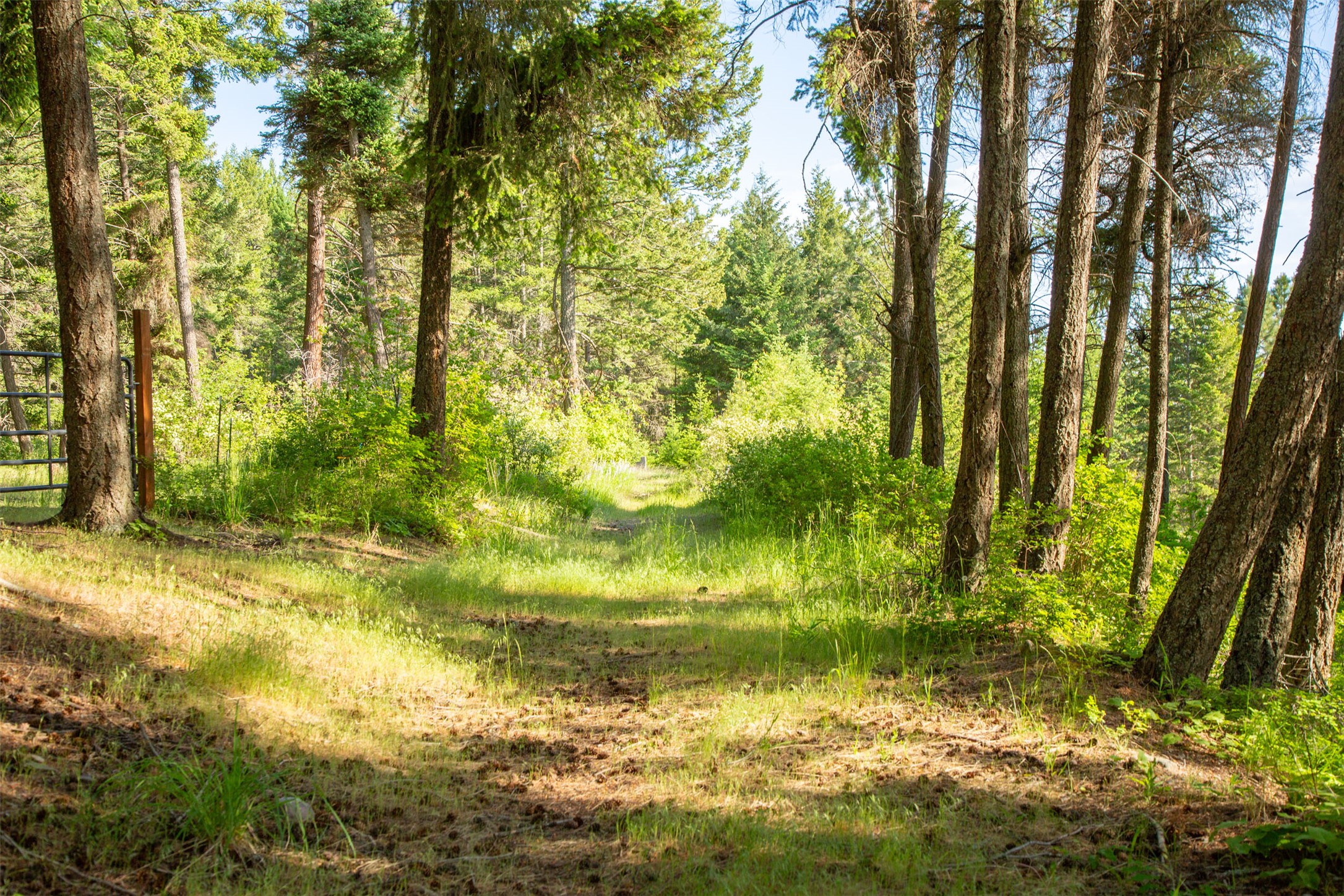 Bigfork, Montana 59911, United States, 5 Bedrooms Bedrooms, ,4 BathroomsBathrooms,Residential,Active,147438