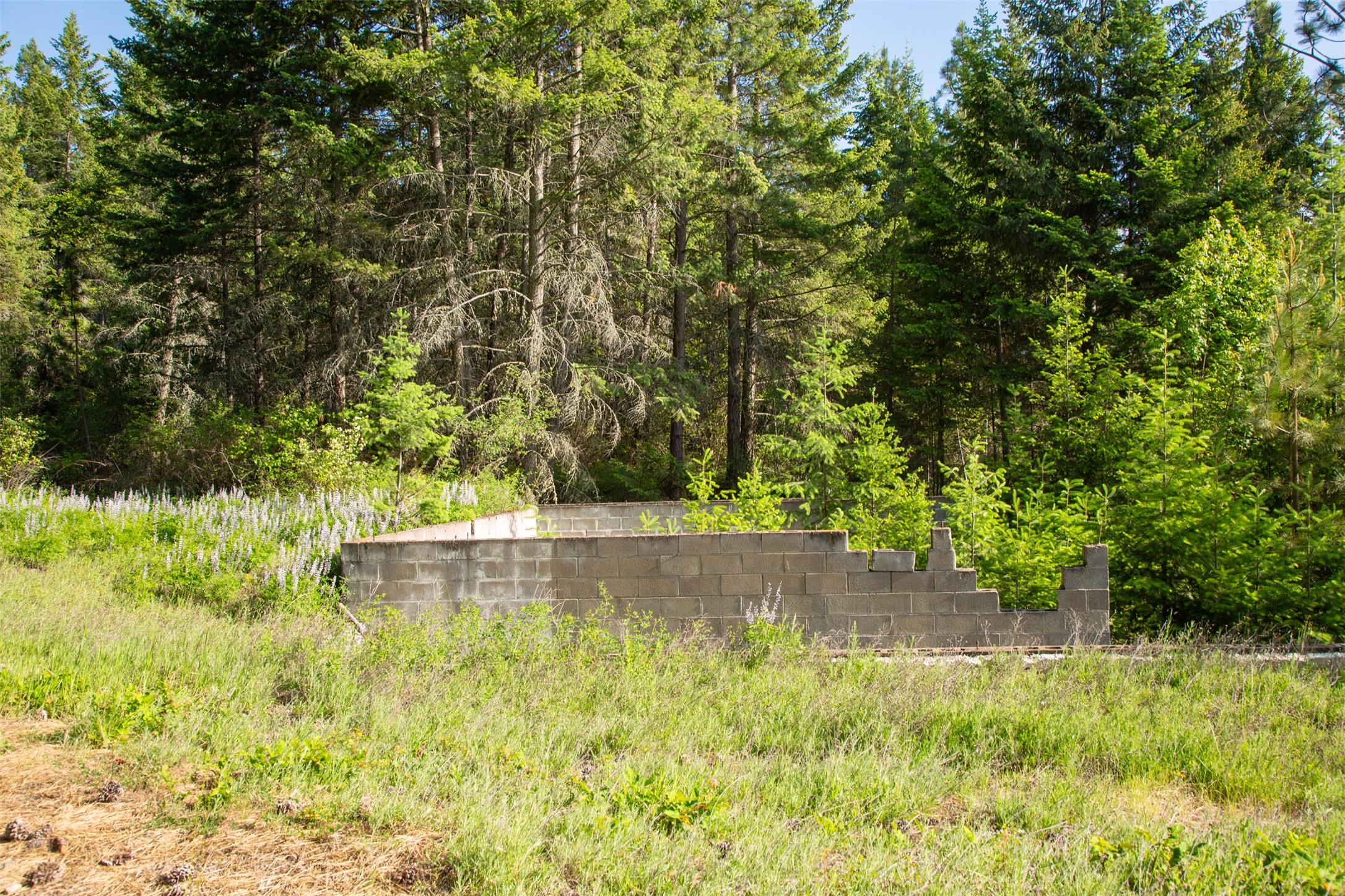 Bigfork, Montana 59911, United States, 5 Bedrooms Bedrooms, ,4 BathroomsBathrooms,Residential,Active,147438