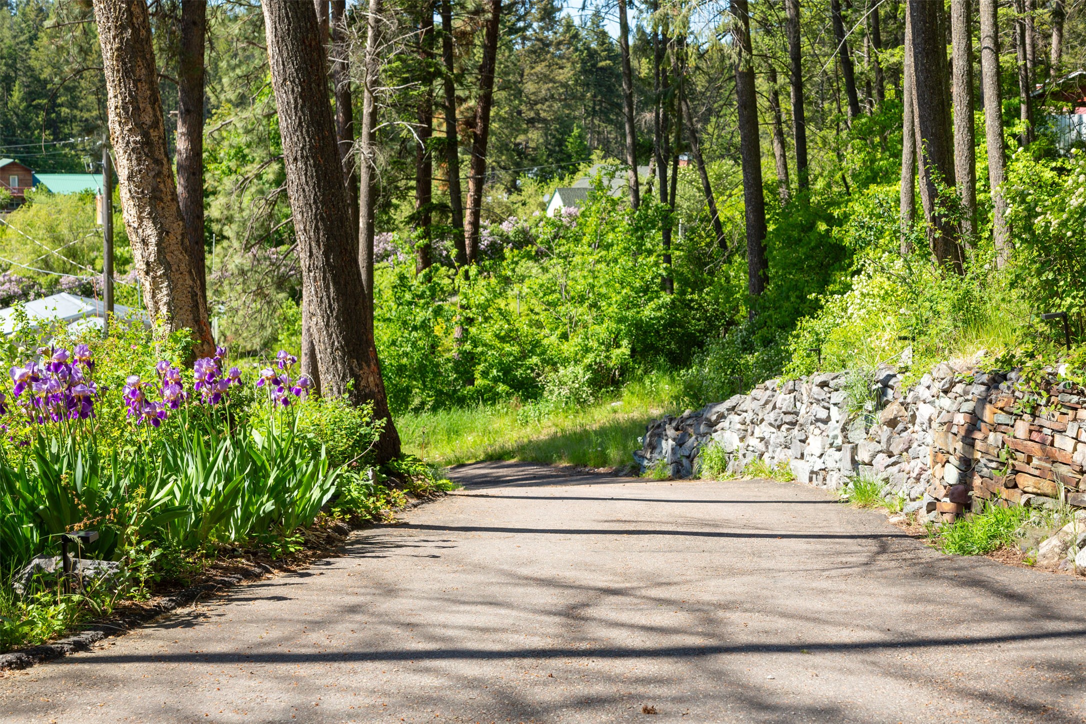 Bigfork, Montana 59911, United States, 5 Bedrooms Bedrooms, ,4 BathroomsBathrooms,Residential,Active,147438