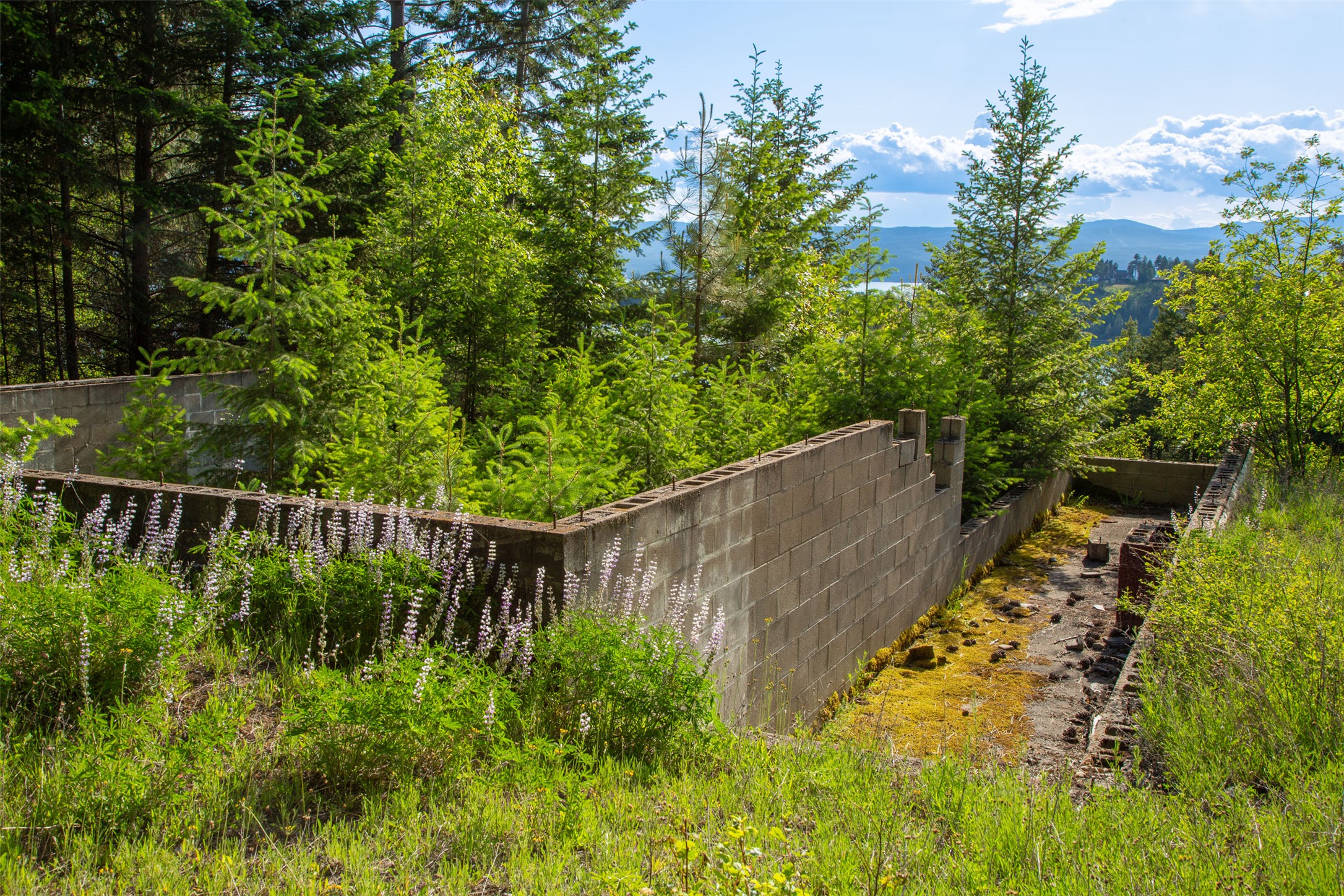 Bigfork, Montana 59911, United States, 5 Bedrooms Bedrooms, ,4 BathroomsBathrooms,Residential,Active,147438