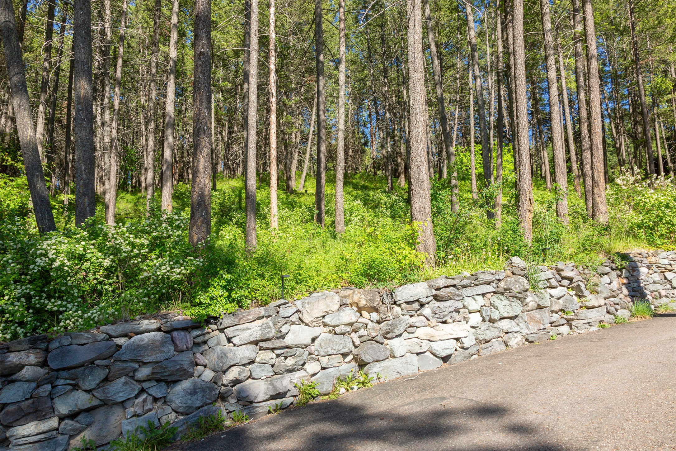 Bigfork, Montana 59911, United States, 5 Bedrooms Bedrooms, ,4 BathroomsBathrooms,Residential,Active,147438