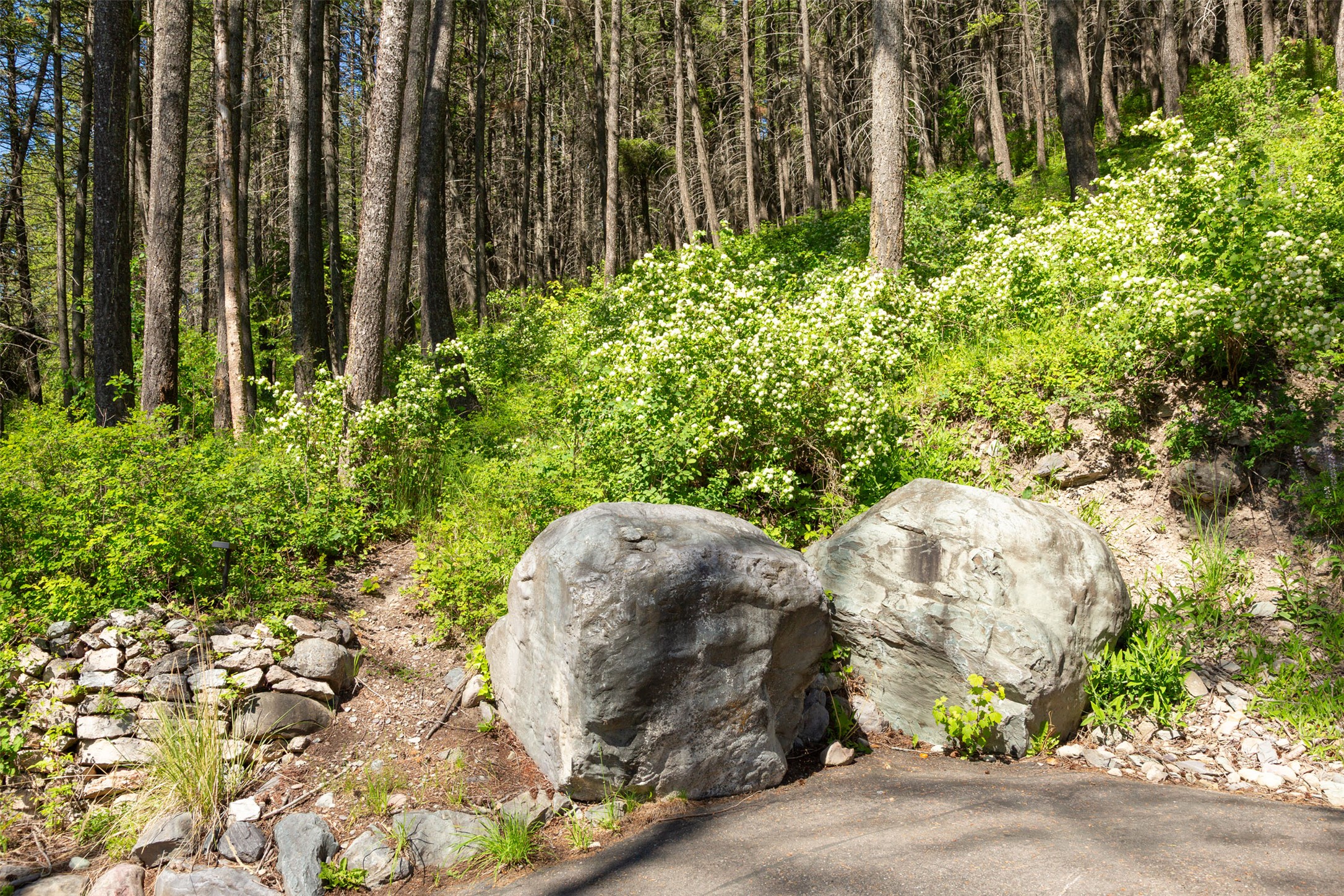 Bigfork, Montana 59911, United States, 5 Bedrooms Bedrooms, ,4 BathroomsBathrooms,Residential,Active,147438